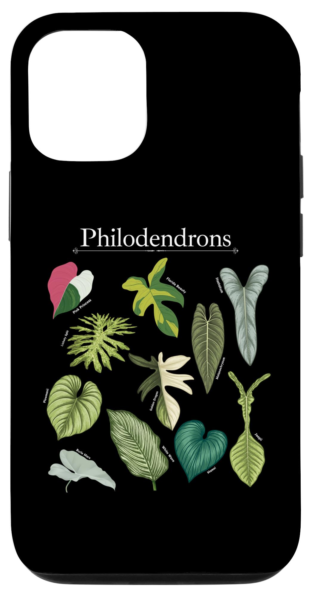 Philodendron Varieties Florida Beauty Joepii House Plants Case for iPhone 14
