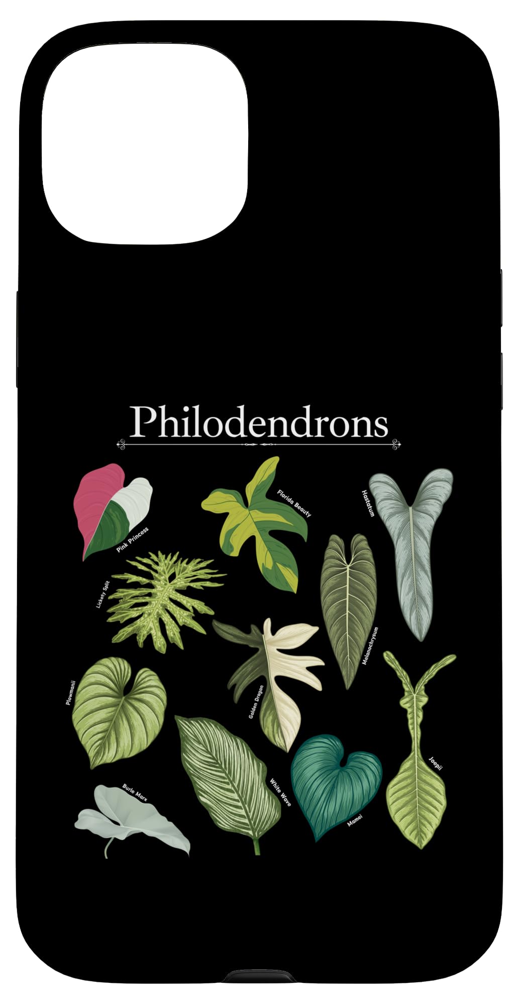 Philodendron Varieties Florida Beauty Joepii House Plants Case for iPhone 14
