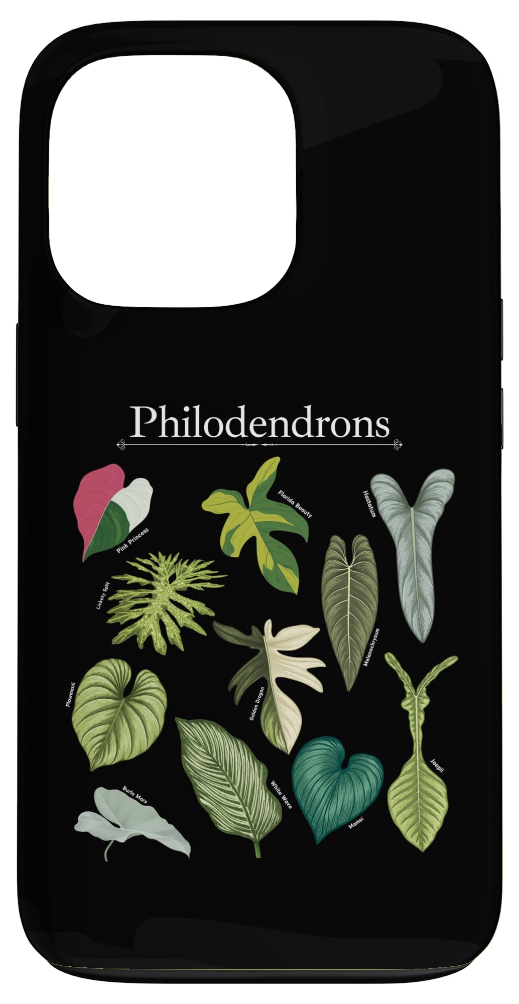 Philodendron Varieties Florida Beauty Joepii House Plants Case for iPhone 14