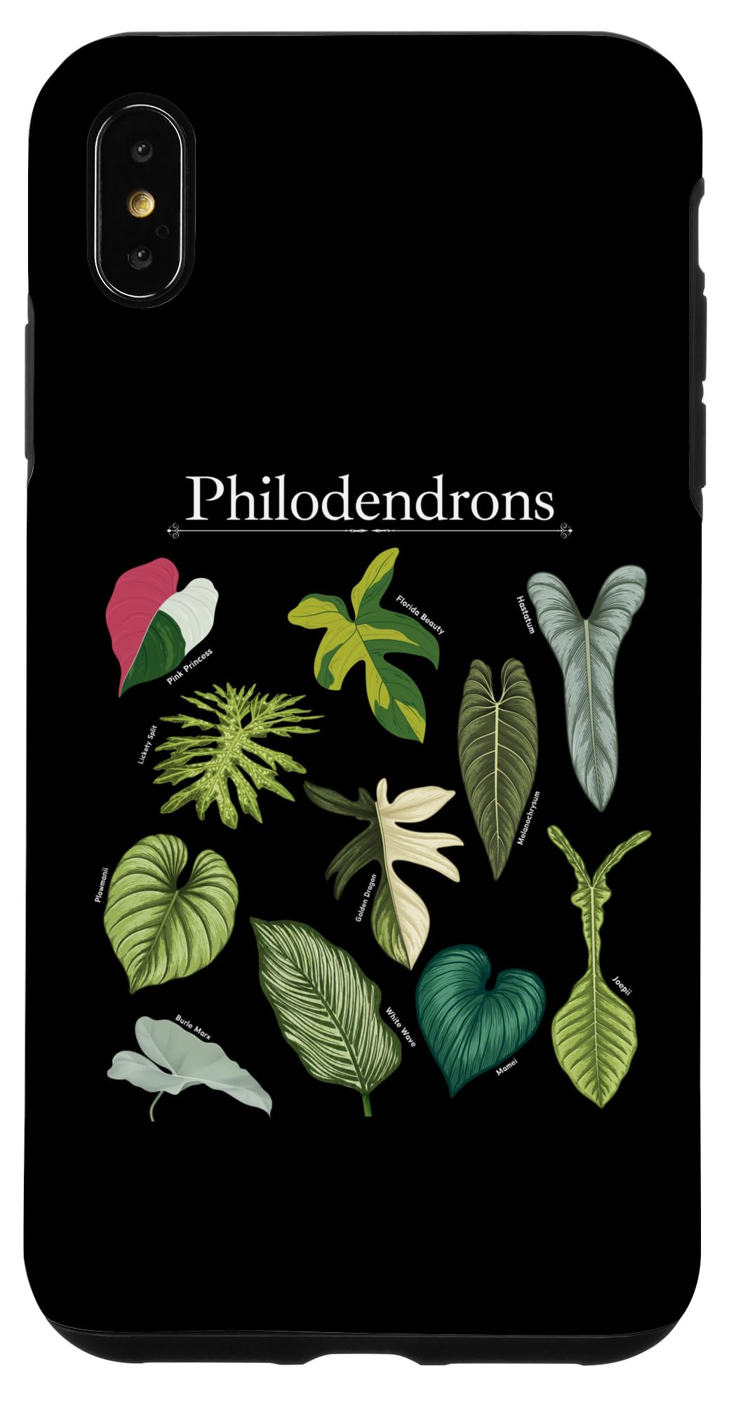 Philodendron Varieties Florida Beauty Joepii House Plants Case for iPhone 14