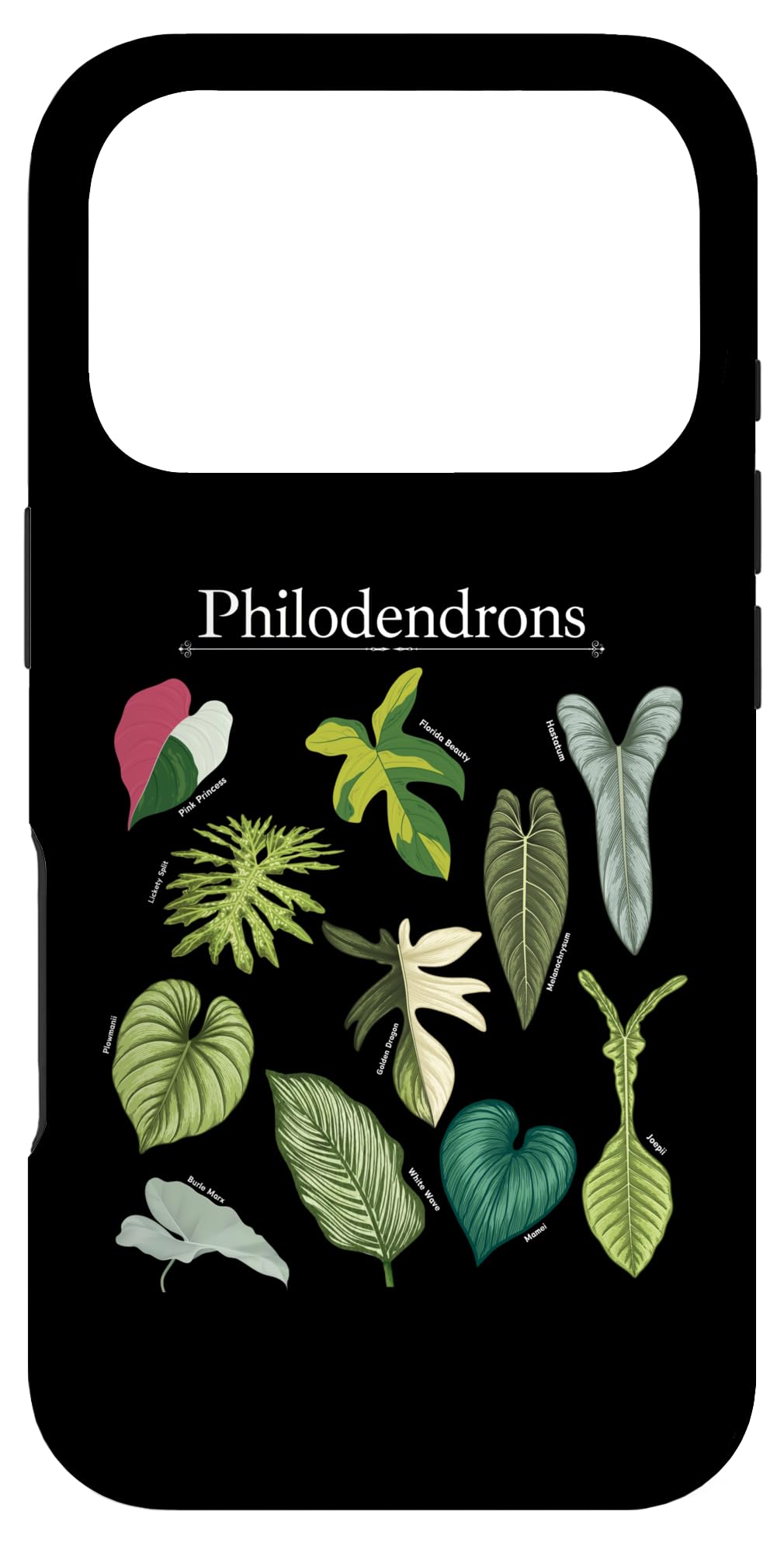 Philodendron Varieties Florida Beauty Joepii House Plants Case for iPhone 14