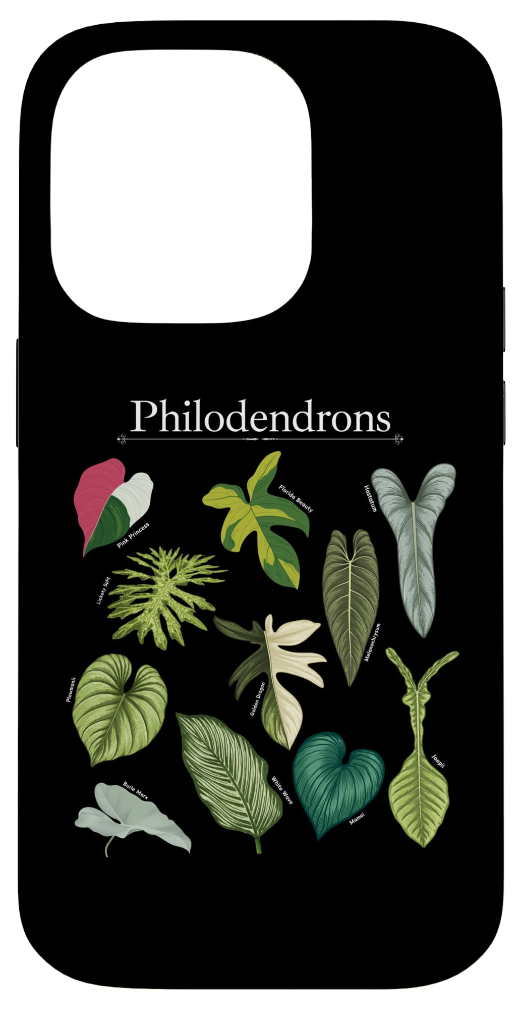 Philodendron Varieties Florida Beauty Joepii House Plants Case for iPhone 14