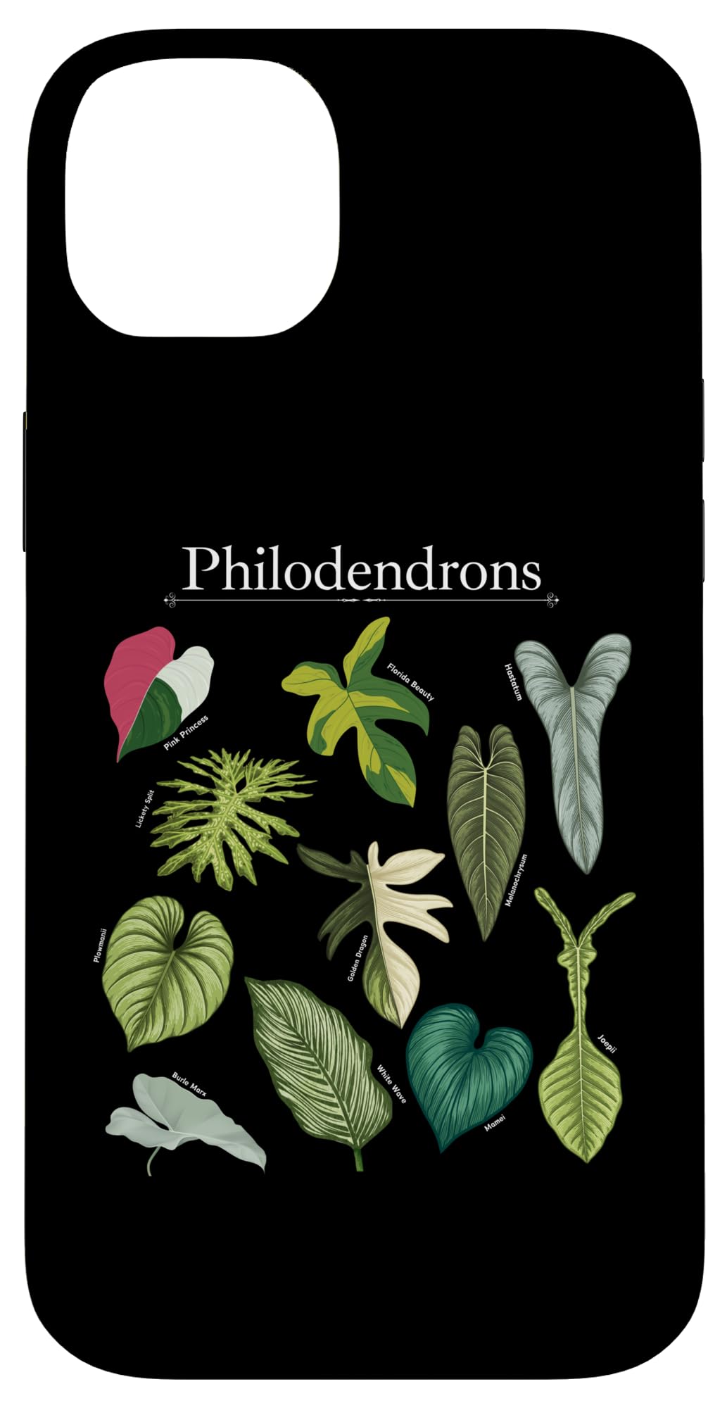 Philodendron Varieties Florida Beauty Joepii House Plants Case for iPhone 14