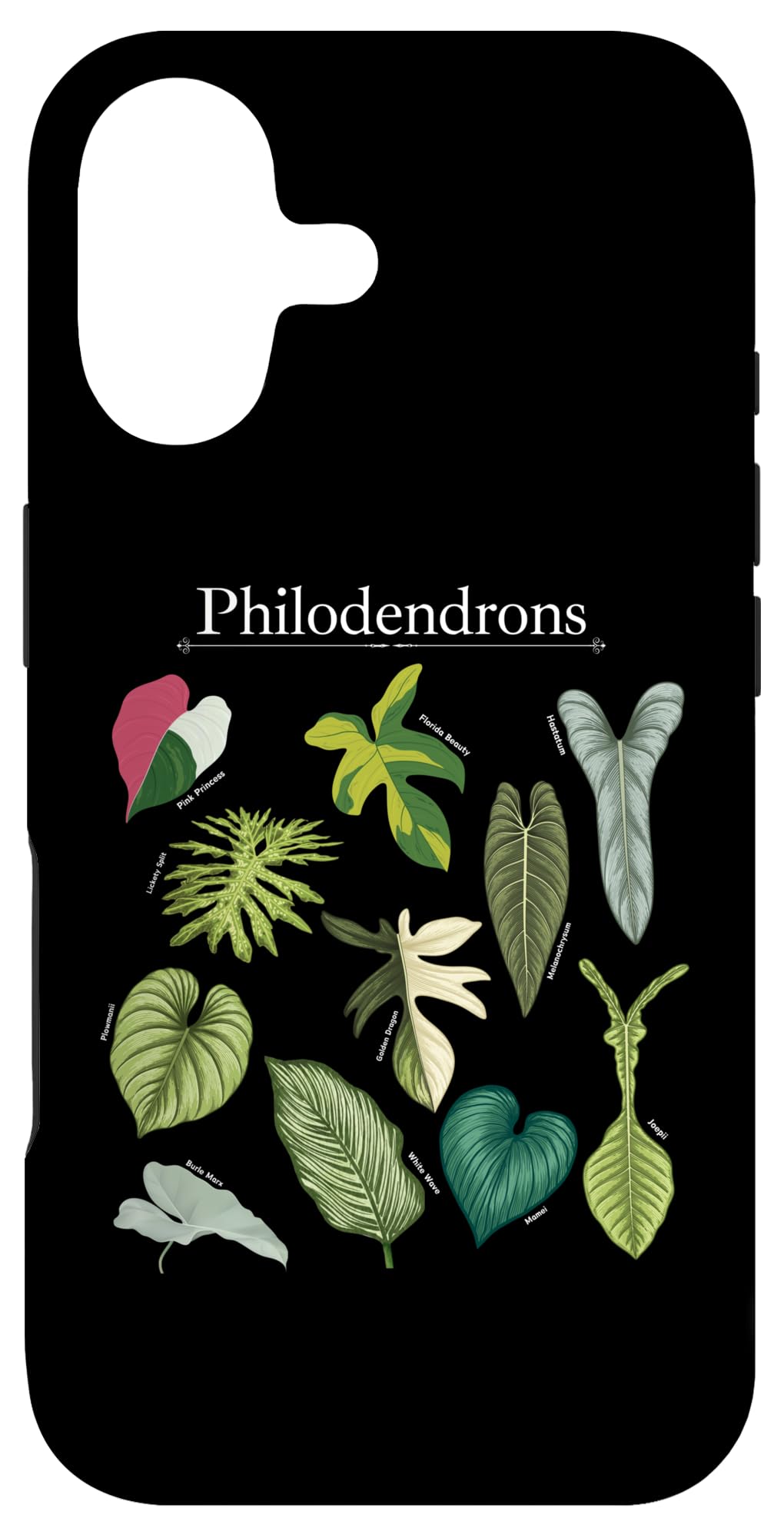 Philodendron Varieties Florida Beauty Joepii House Plants Case for iPhone 14