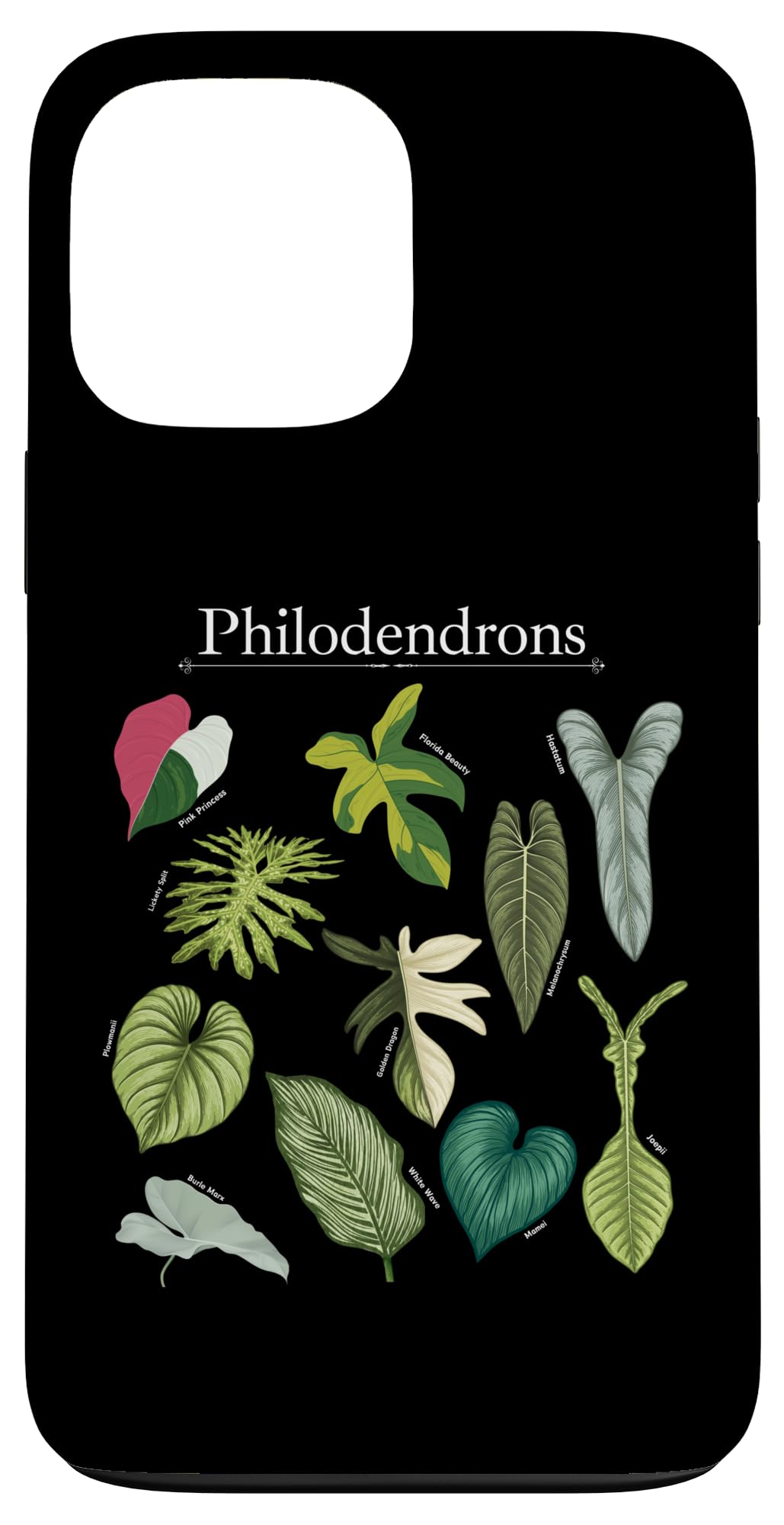 Philodendron Varieties Florida Beauty Joepii House Plants Case for iPhone 14