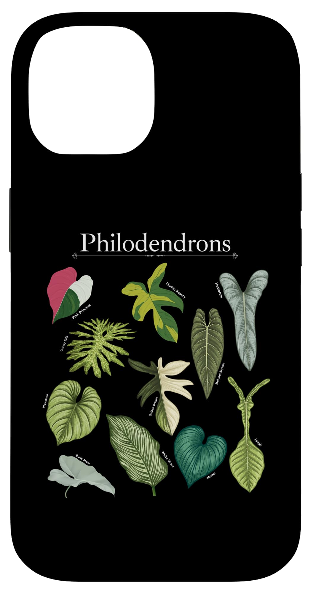 Philodendron Varieties Florida Beauty Joepii House Plants Case for iPhone 14