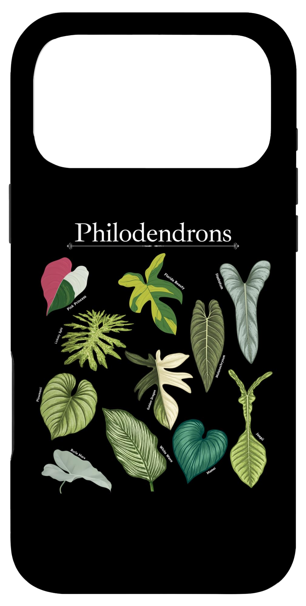 Philodendron Varieties Florida Beauty Joepii House Plants Case for iPhone 14