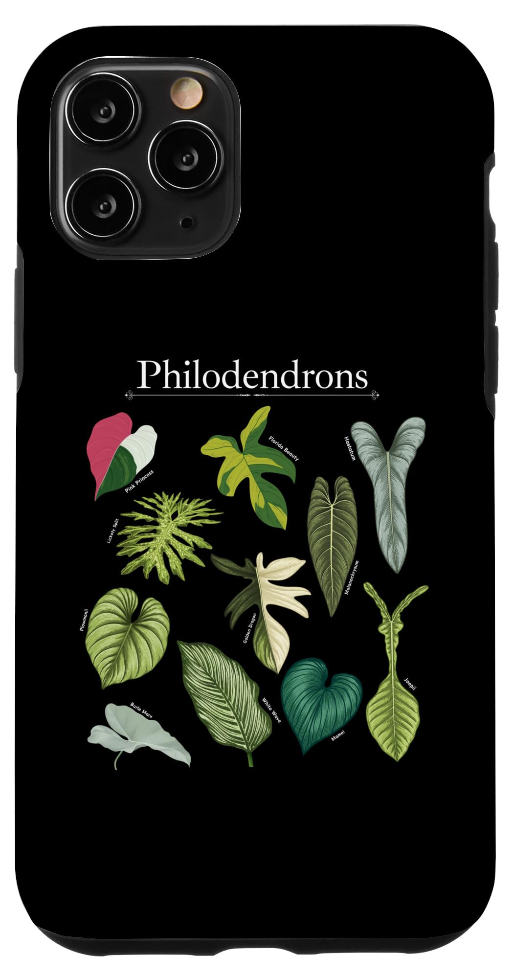 Philodendron Varieties Florida Beauty Joepii House Plants Case for iPhone 14