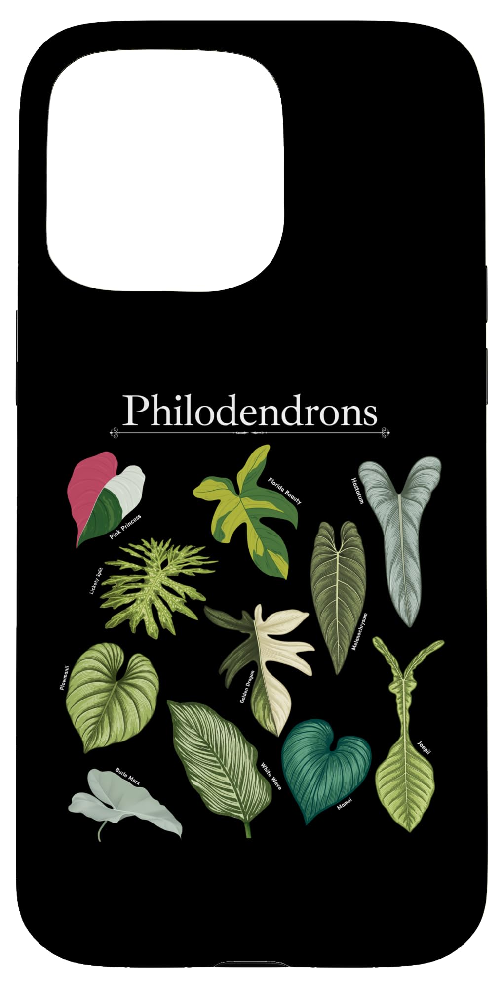 Philodendron Varieties Florida Beauty Joepii House Plants Case for iPhone 14