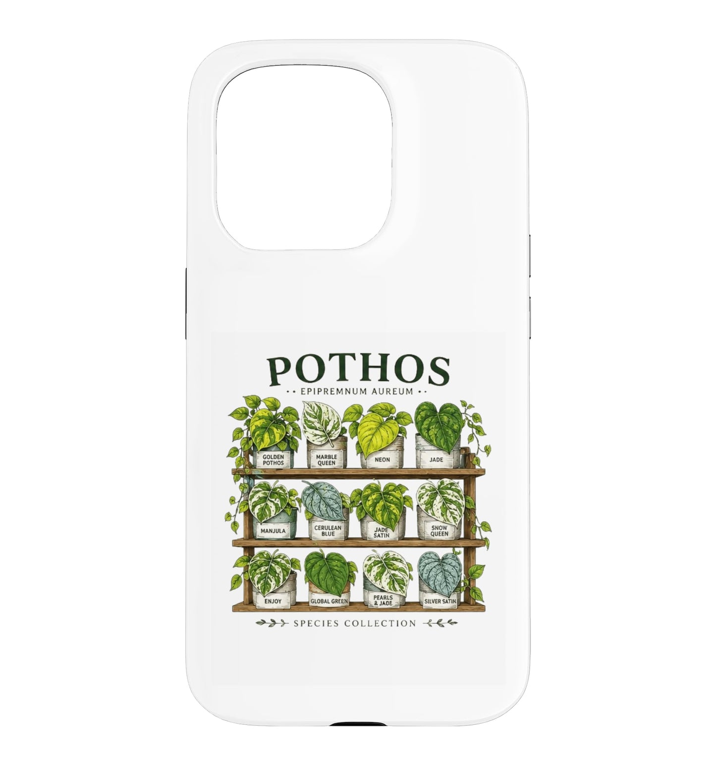 Pothos Plant Varieties Botanical Houseplant Design Case for iPhone 16