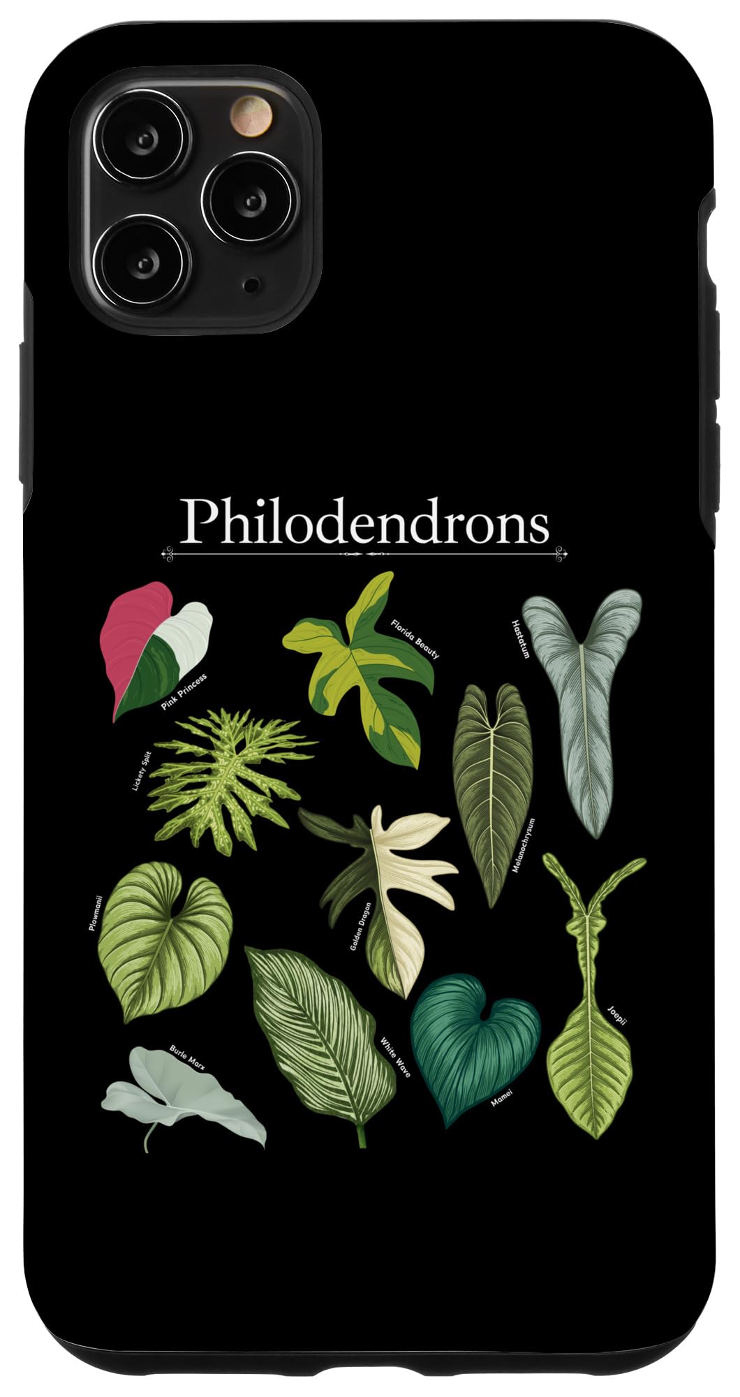 Philodendron Varieties Florida Beauty Joepii House Plants Case for iPhone 14