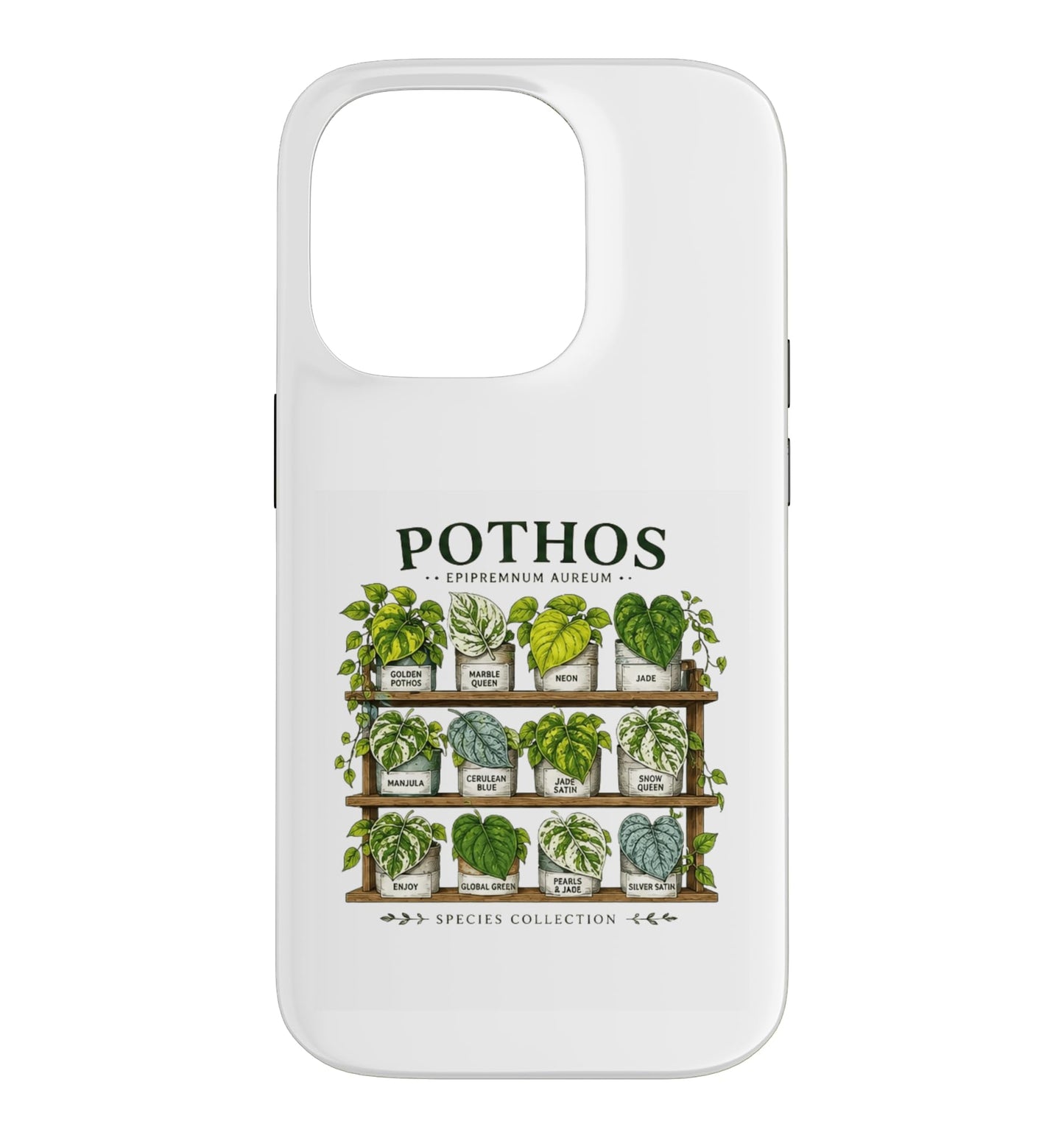 Pothos Plant Varieties Botanical Houseplant Design Case for iPhone 16