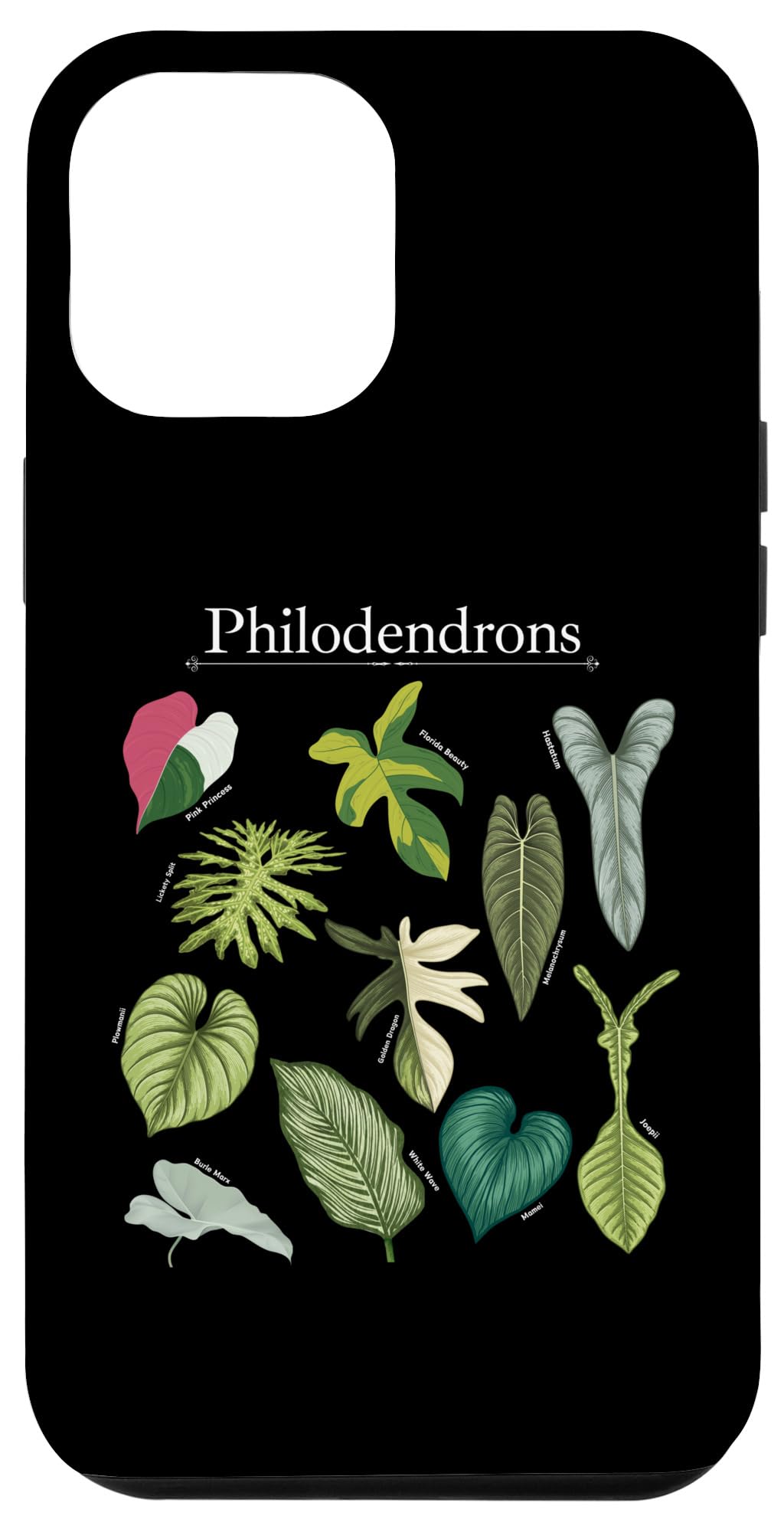 Philodendron Varieties Florida Beauty Joepii House Plants Case for iPhone 14