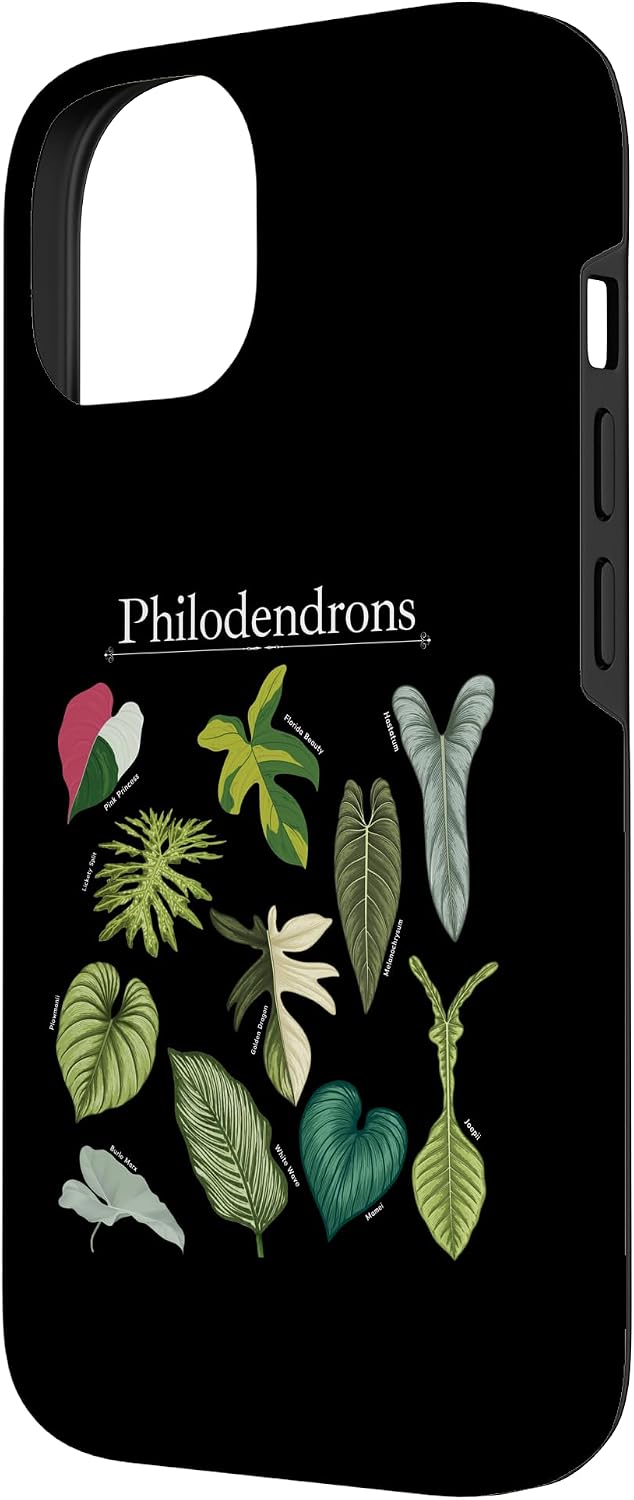 Philodendron Varieties Florida Beauty Joepii House Plants Case for iPhone 14