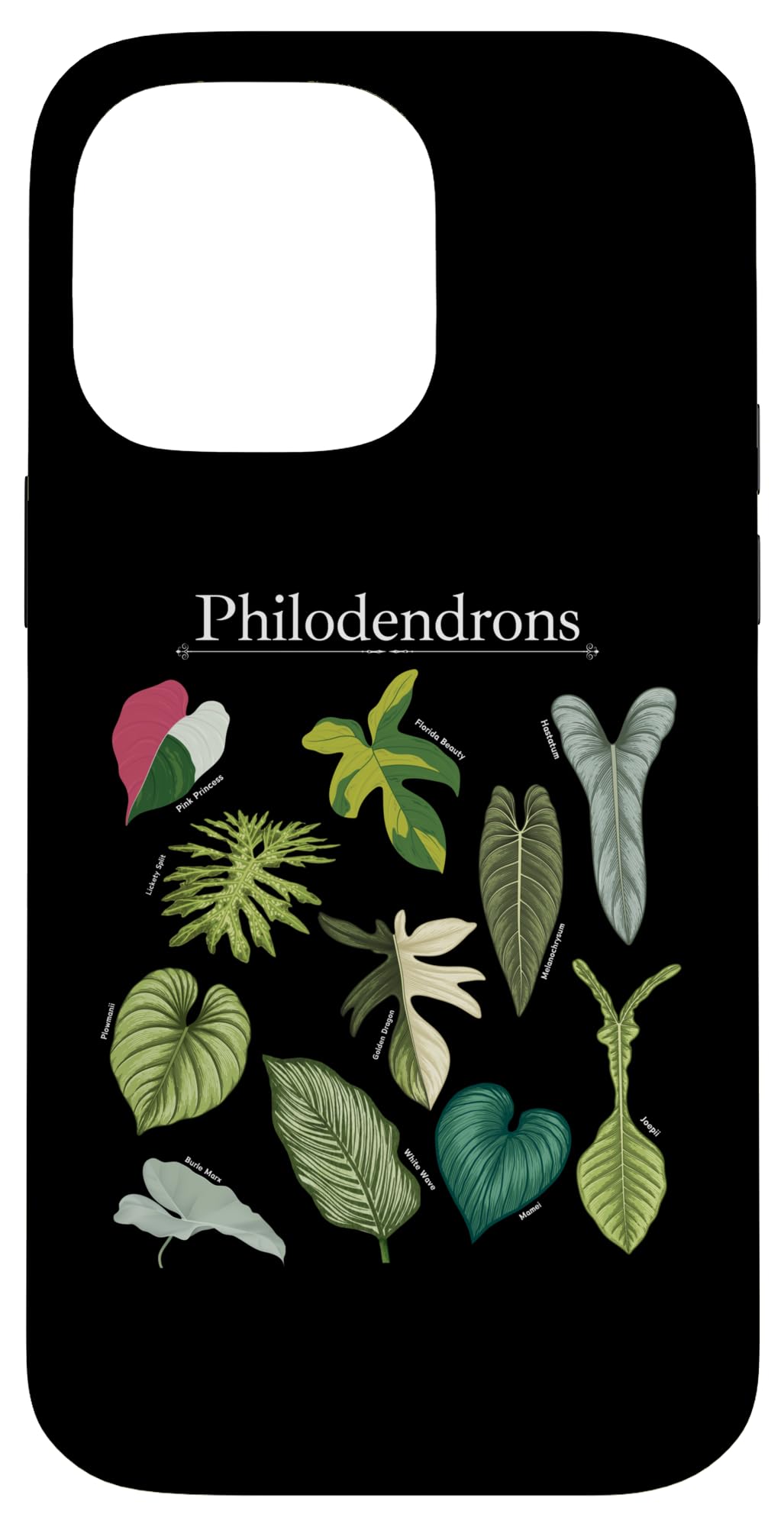 Philodendron Varieties Florida Beauty Joepii House Plants Case for iPhone 14