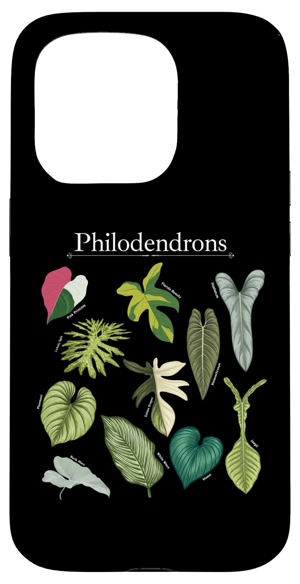 Philodendron Varieties Florida Beauty Joepii House Plants Case for iPhone 14