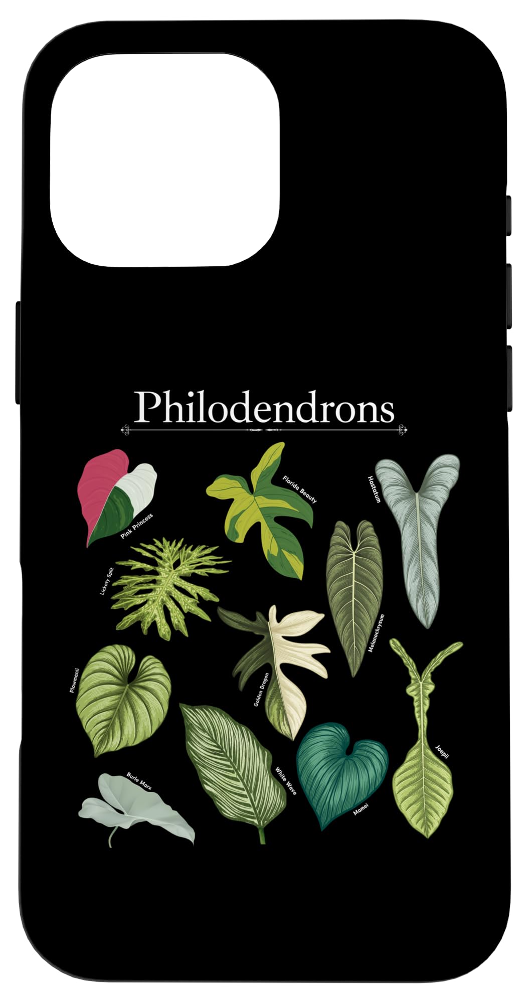 Philodendron Varieties Florida Beauty Joepii House Plants Case for iPhone 14