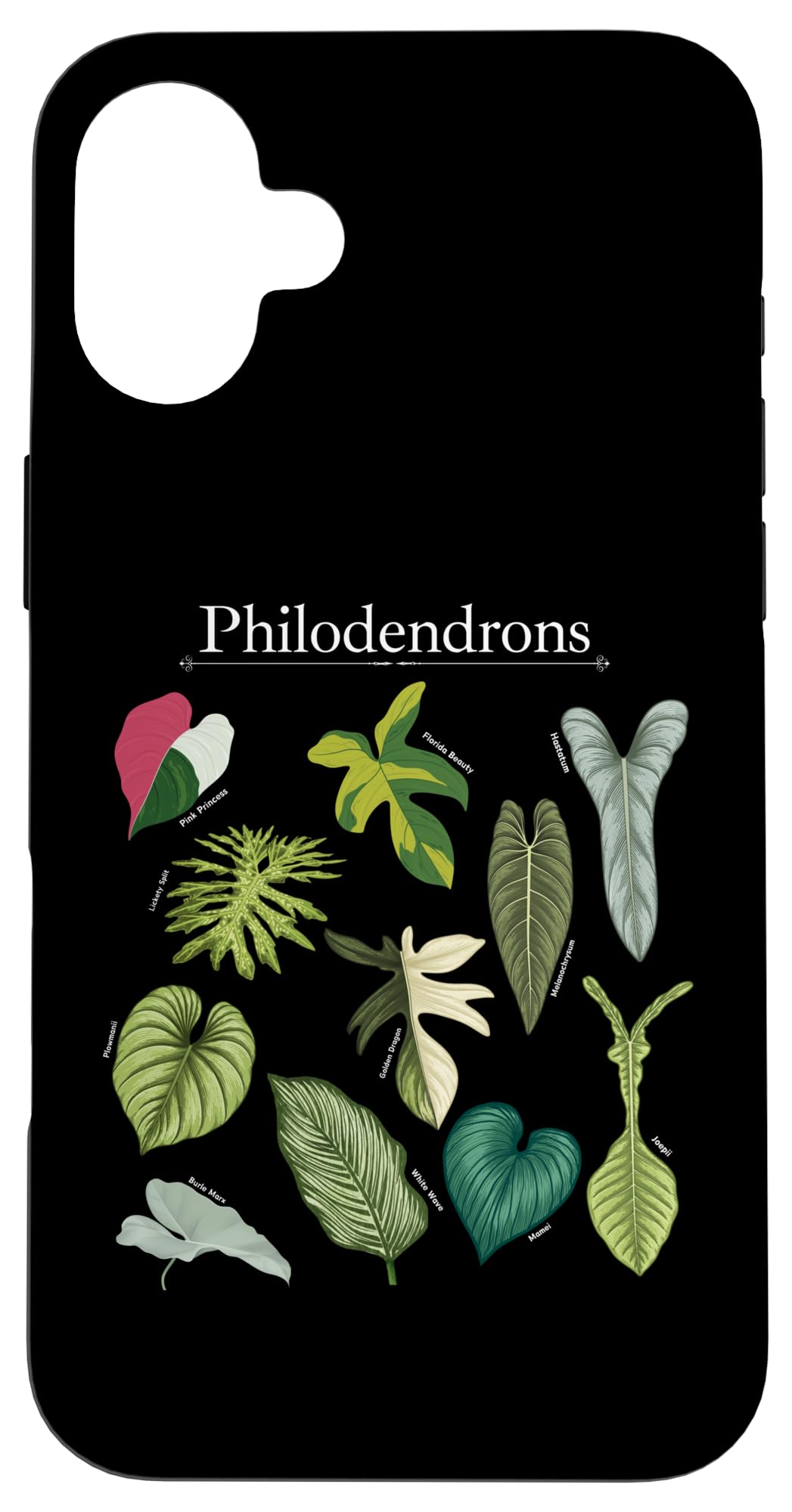 Philodendron Varieties Florida Beauty Joepii House Plants Case for iPhone 14