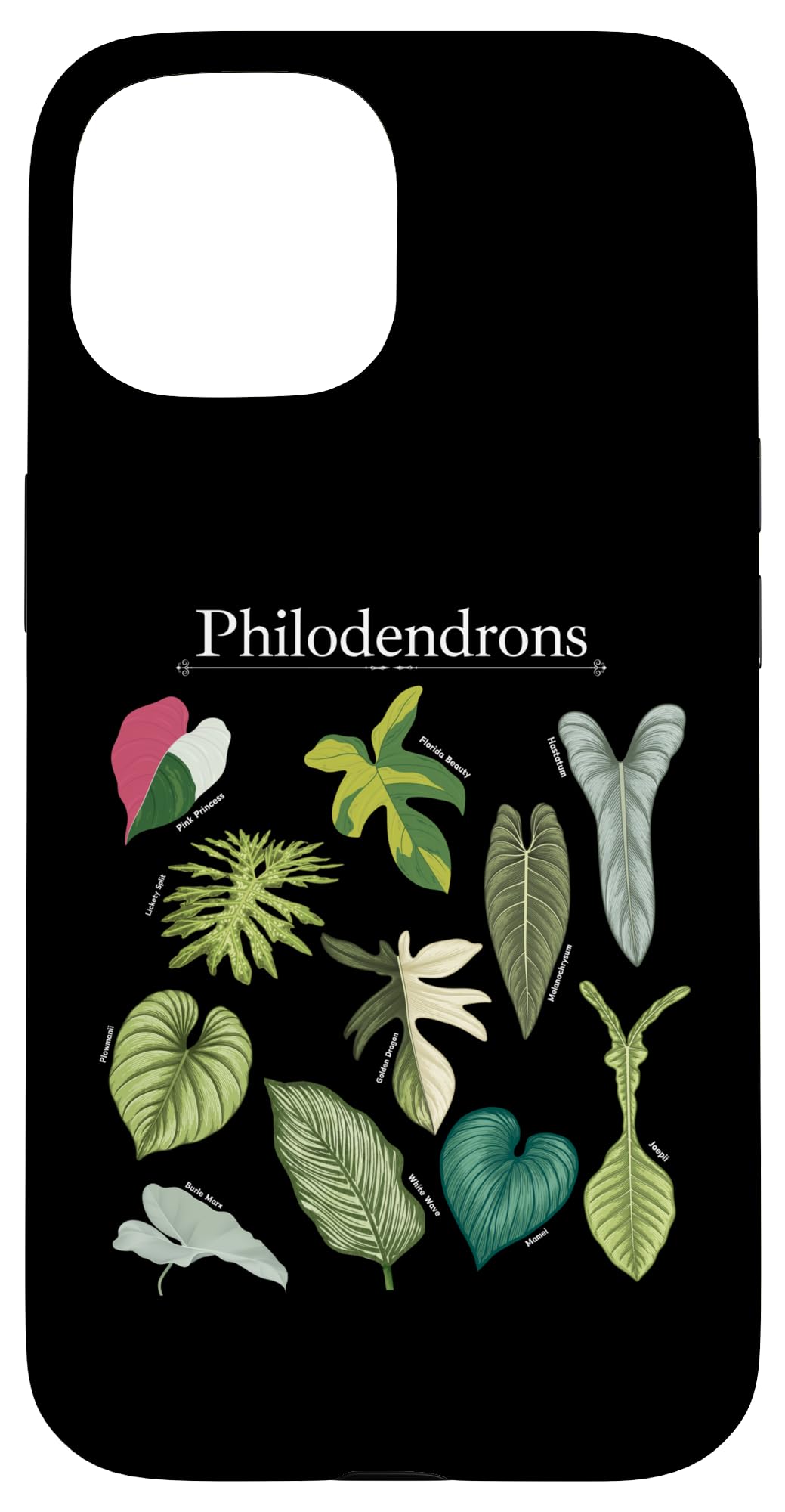 Philodendron Varieties Florida Beauty Joepii House Plants Case for iPhone 14