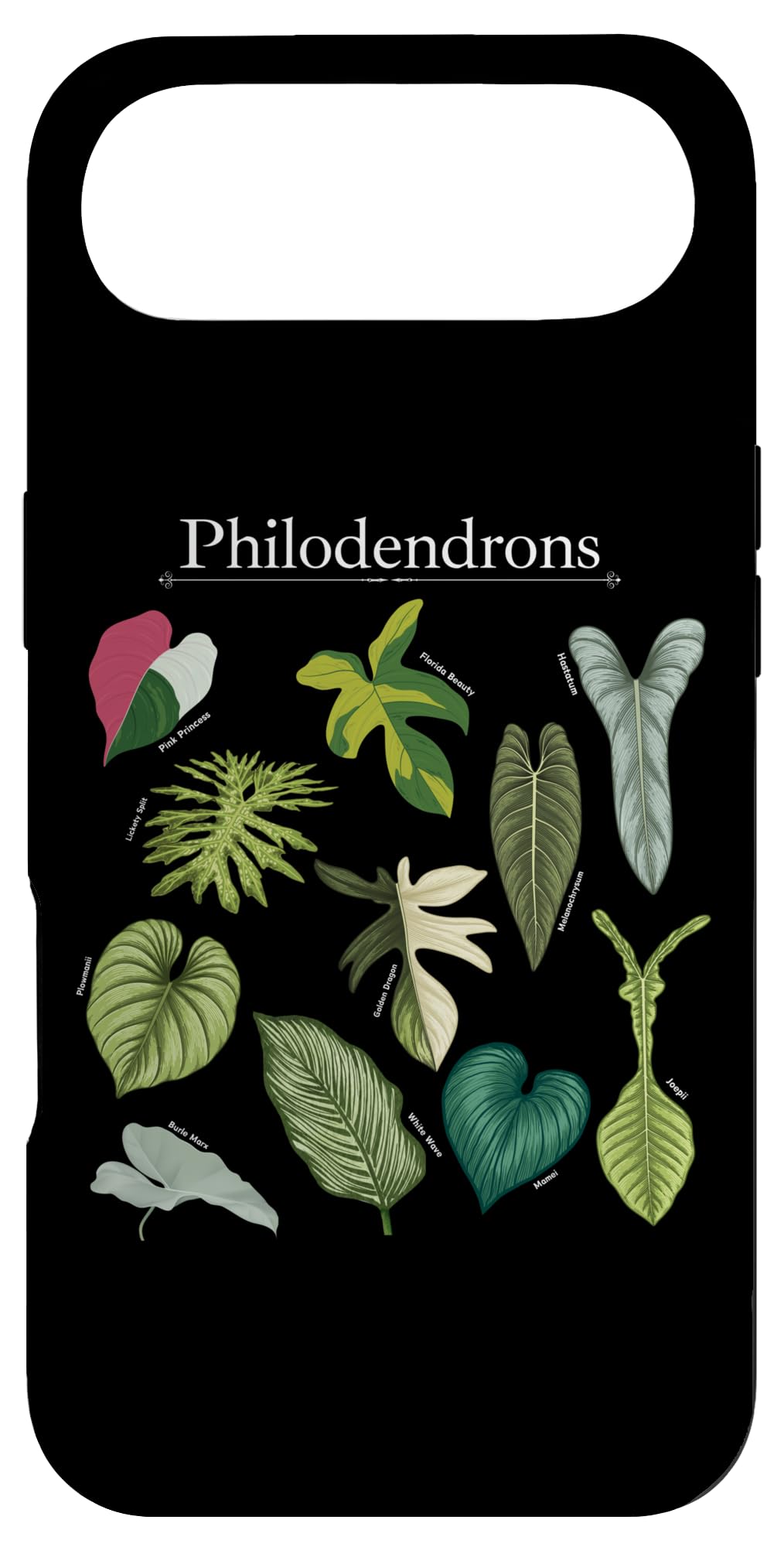 Philodendron Varieties Florida Beauty Joepii House Plants Case for iPhone 14