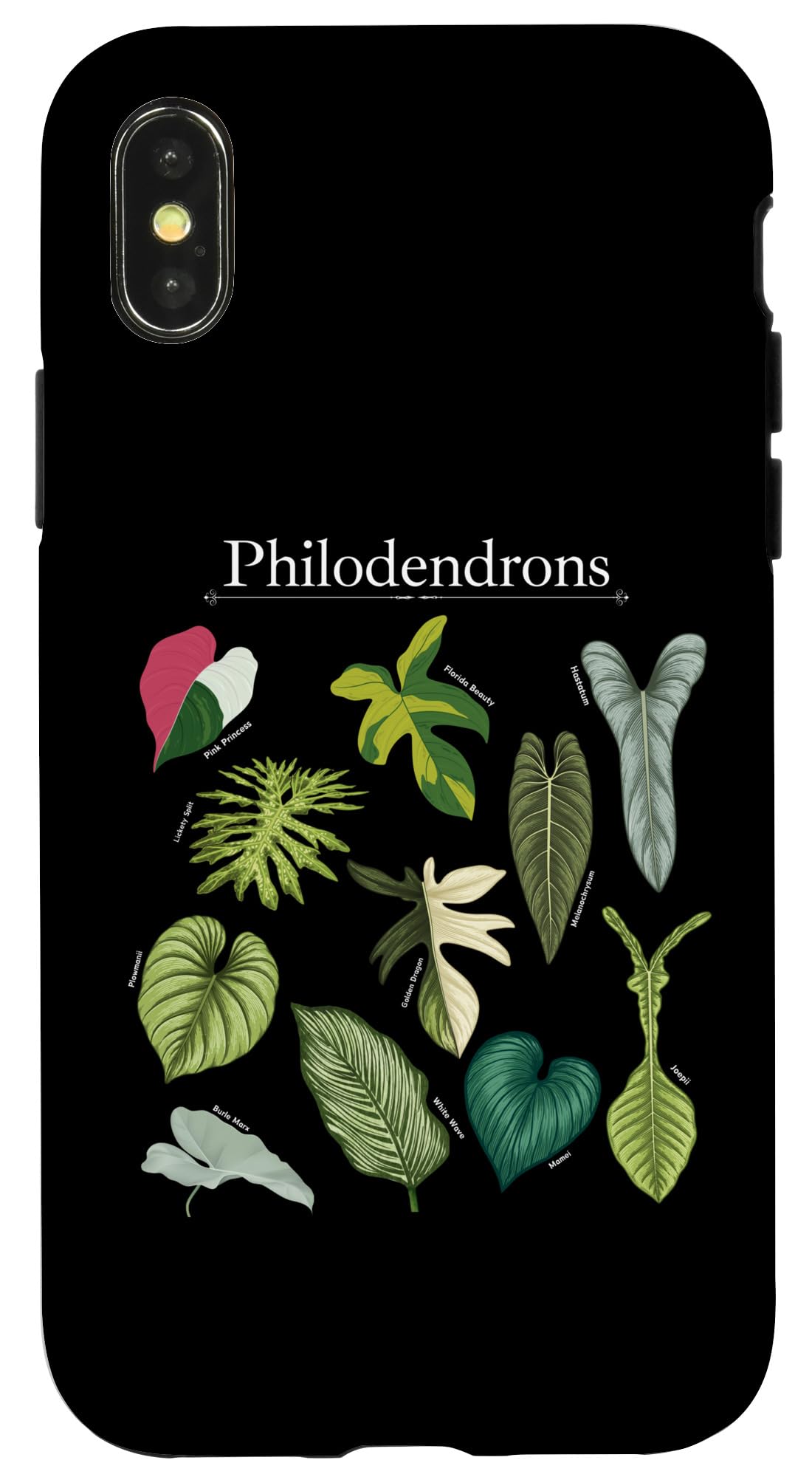 Philodendron Varieties Florida Beauty Joepii House Plants Case for iPhone 14