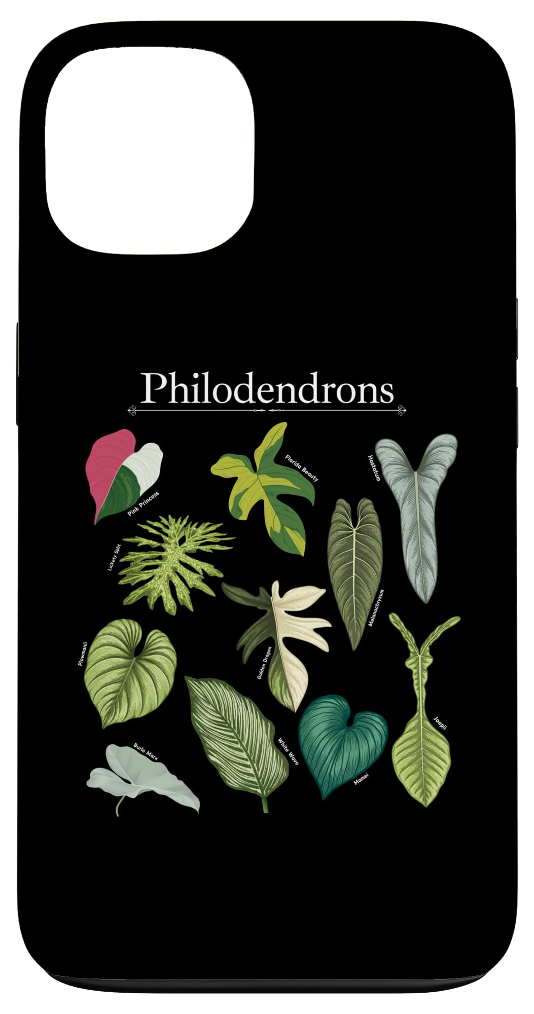 Philodendron Varieties Florida Beauty Joepii House Plants Case for iPhone 14