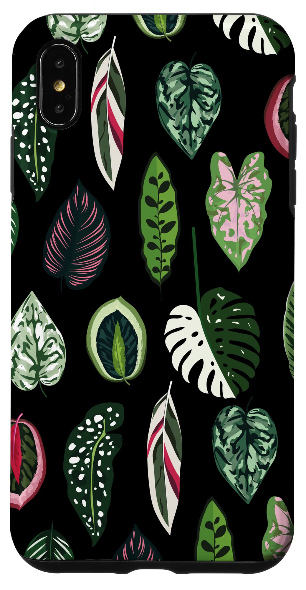 Calathea Varigatea Monstera Plant Leaf Black Case for iPhone 15 Pro Max