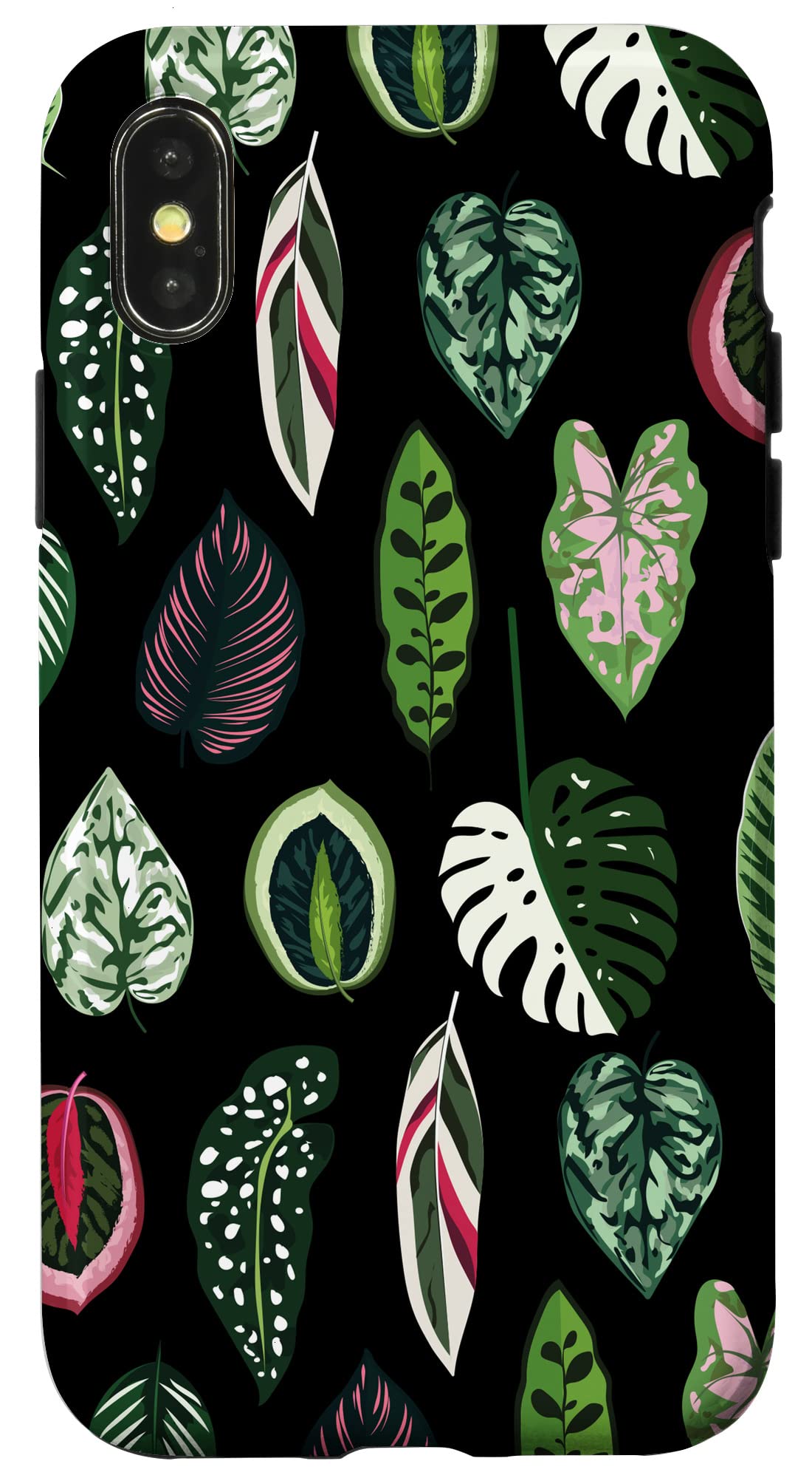 Calathea Varigatea Monstera Plant Leaf Black Case for iPhone 15 Pro Max