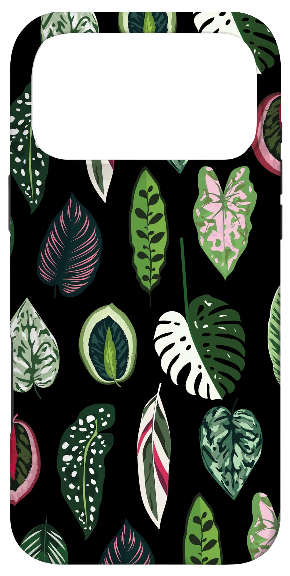 Calathea Varigatea Monstera Plant Leaf Black Case for iPhone 15 Pro Max