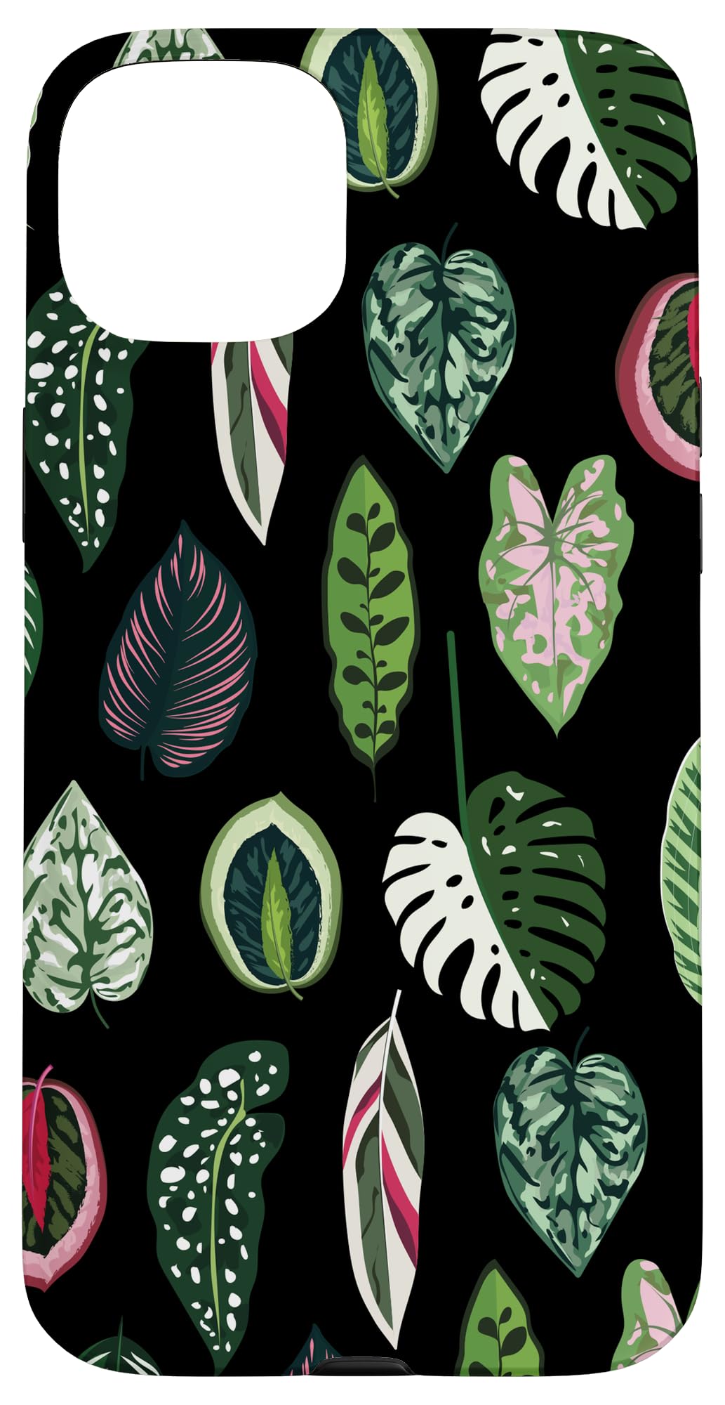 Calathea Varigatea Monstera Plant Leaf Black Case for iPhone 15 Pro Max