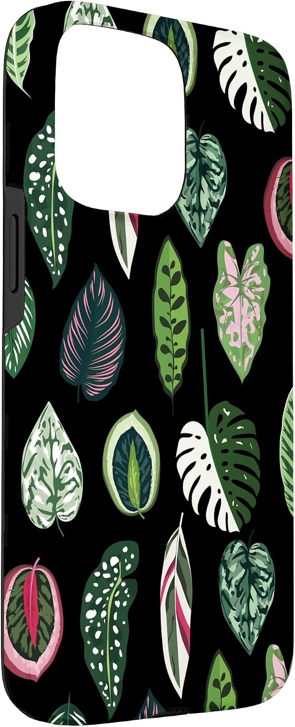 Calathea Varigatea Monstera Plant Leaf Black Case for iPhone 15 Pro Max