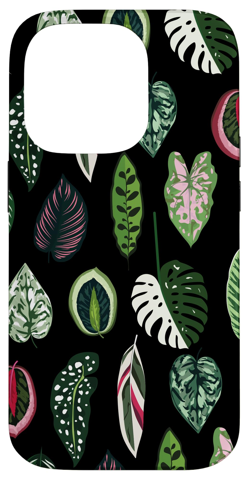 Calathea Varigatea Monstera Plant Leaf Black Case for iPhone 15 Pro Max