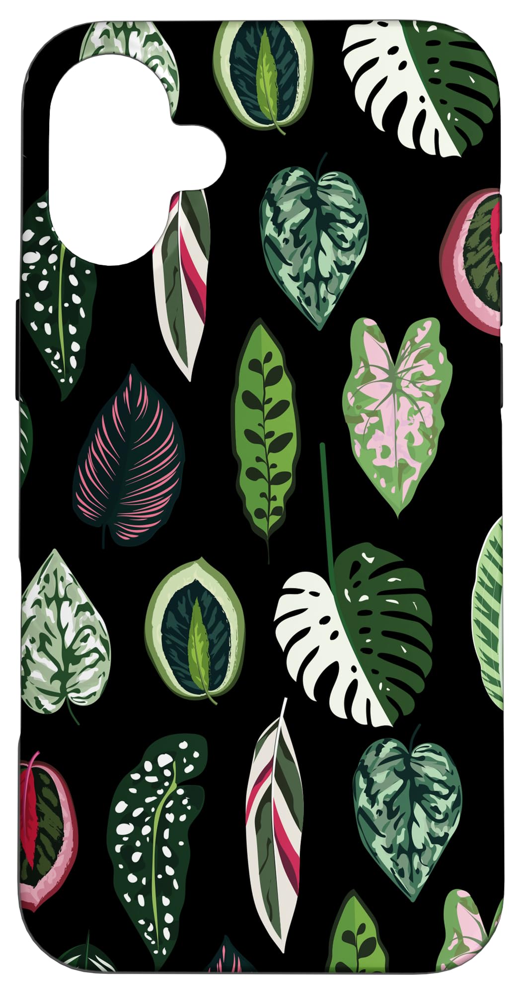 Calathea Varigatea Monstera Plant Leaf Black Case for iPhone 15 Pro Max