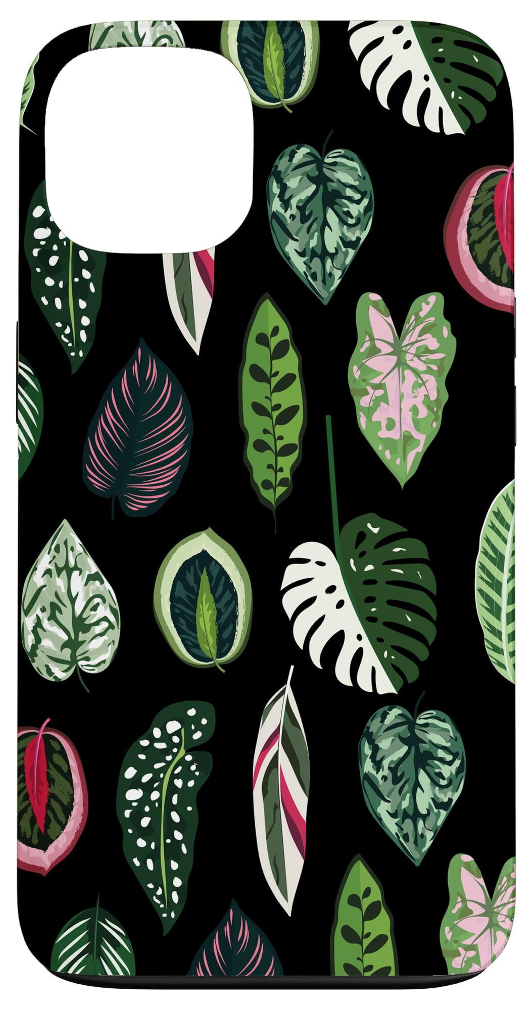 Calathea Varigatea Monstera Plant Leaf Black Case for iPhone 15 Pro Max