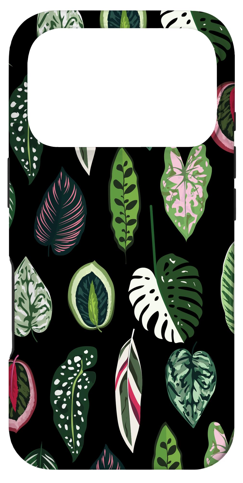 Calathea Varigatea Monstera Plant Leaf Black Case for iPhone 15 Pro Max