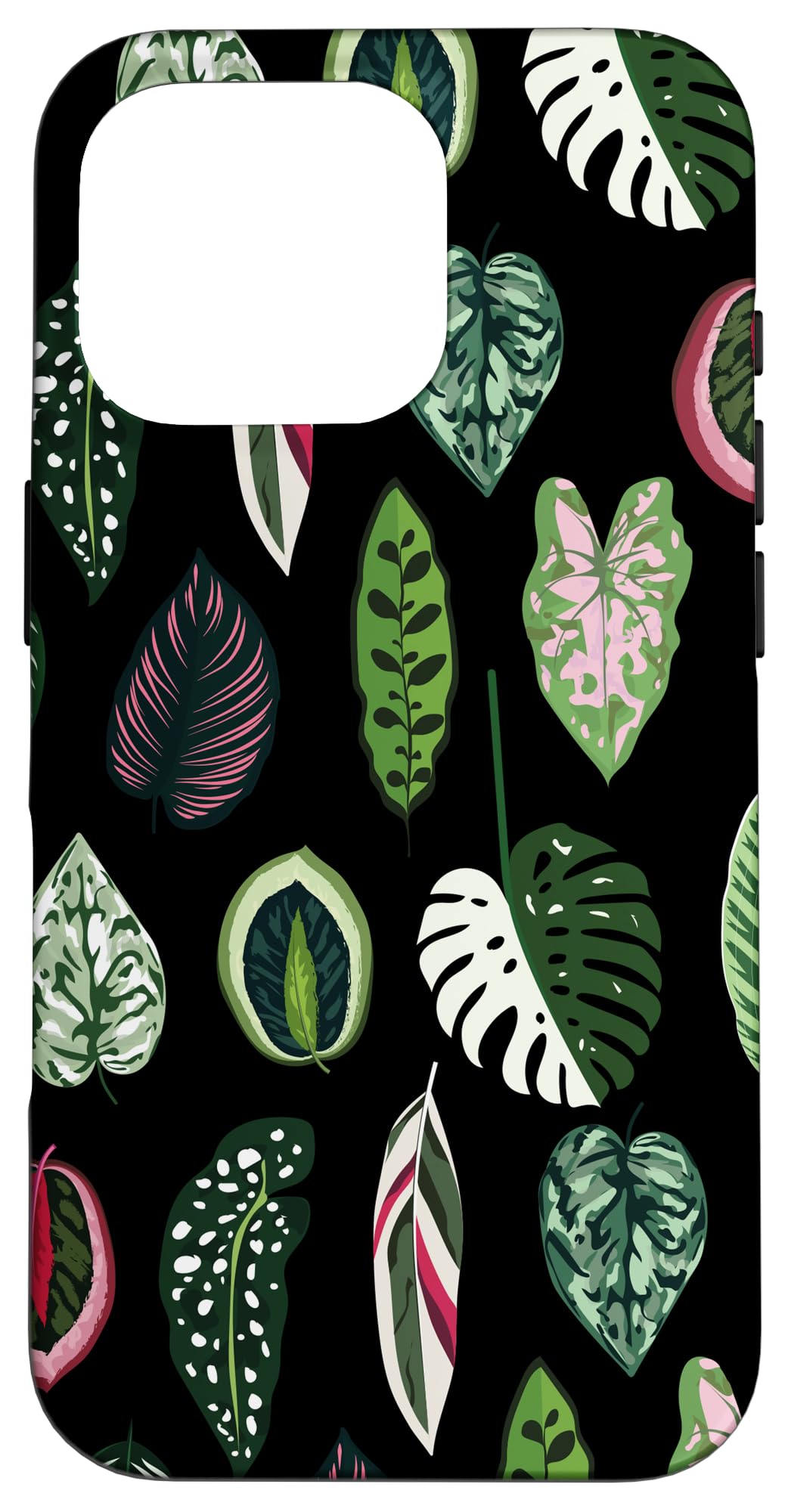 Calathea Varigatea Monstera Plant Leaf Black Case for iPhone 15 Pro Max