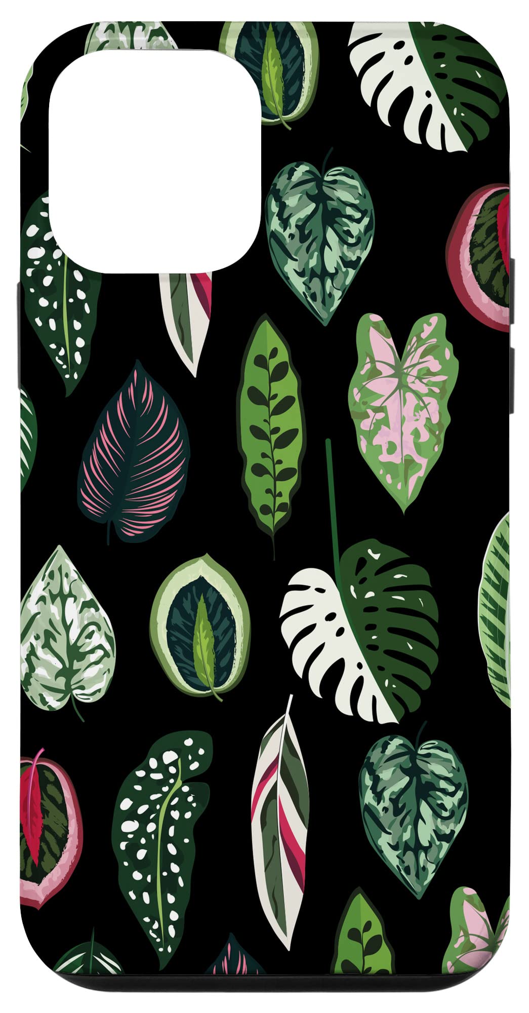 Calathea Varigatea Monstera Plant Leaf Black Case for iPhone 15 Pro Max