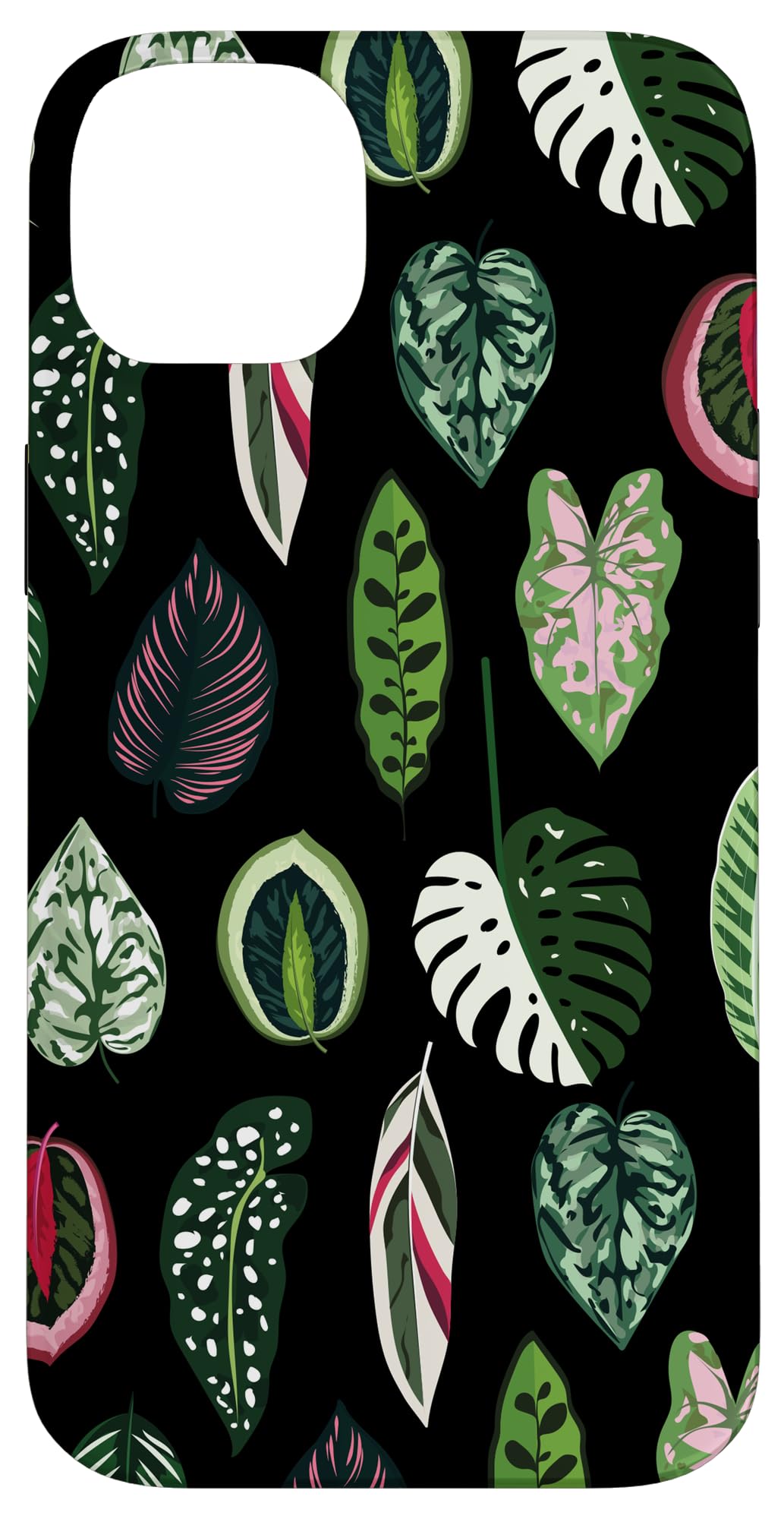 Calathea Varigatea Monstera Plant Leaf Black Case for iPhone 15 Pro Max