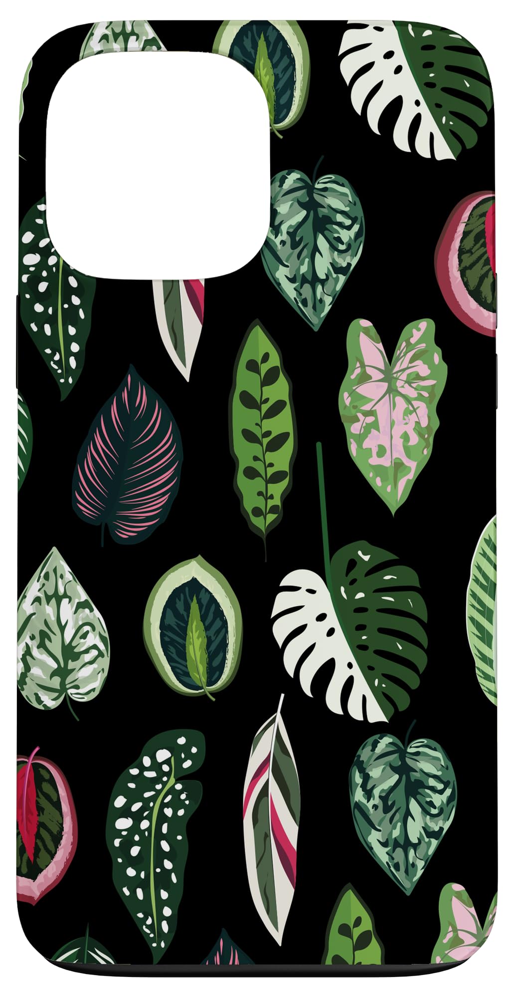 Calathea Varigatea Monstera Plant Leaf Black Case for iPhone 15 Pro Max