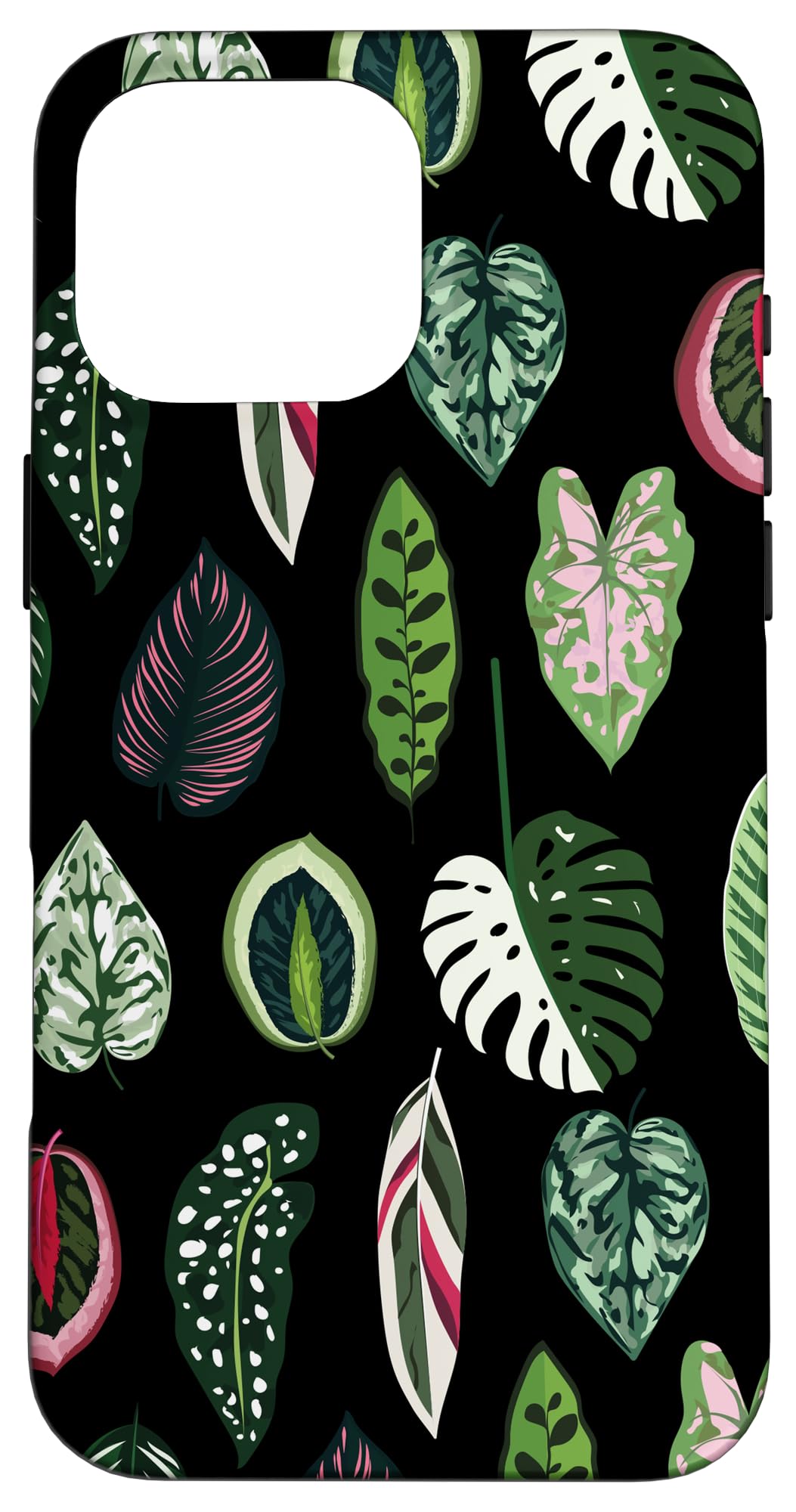 Calathea Varigatea Monstera Plant Leaf Black Case for iPhone 15 Pro Max