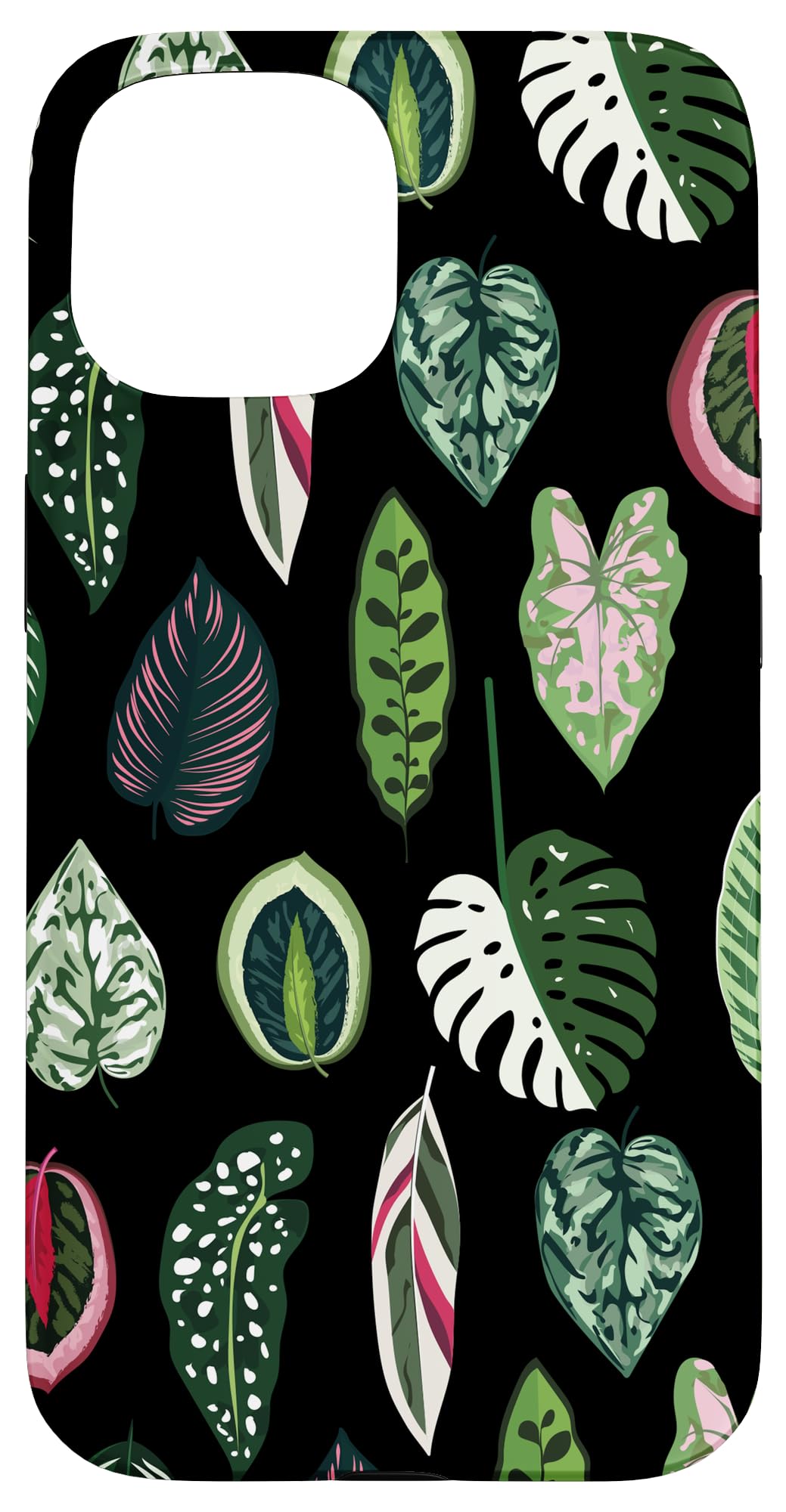 Calathea Varigatea Monstera Plant Leaf Black Case for iPhone 15 Pro Max