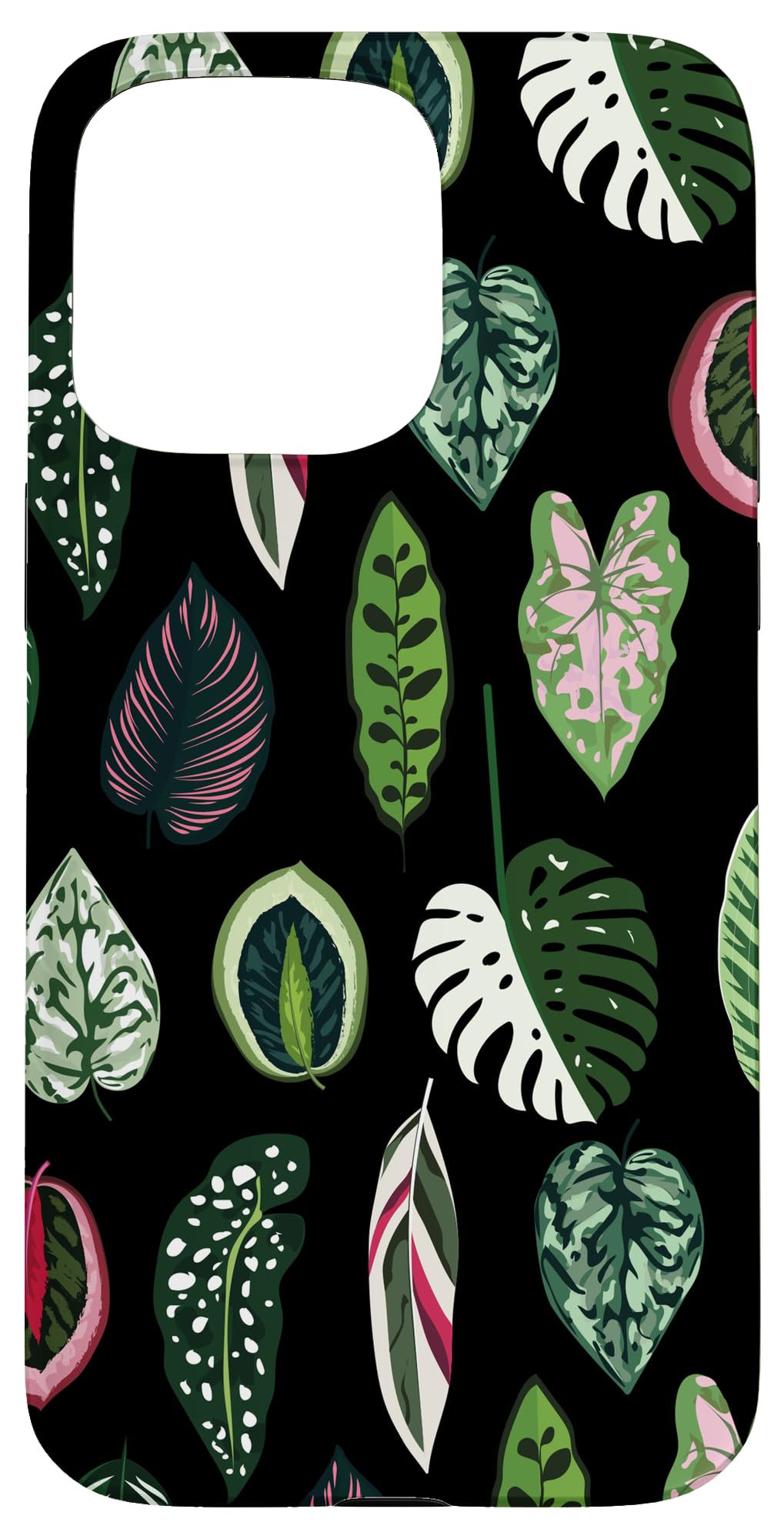 Calathea Varigatea Monstera Plant Leaf Black Case for iPhone 15 Pro Max