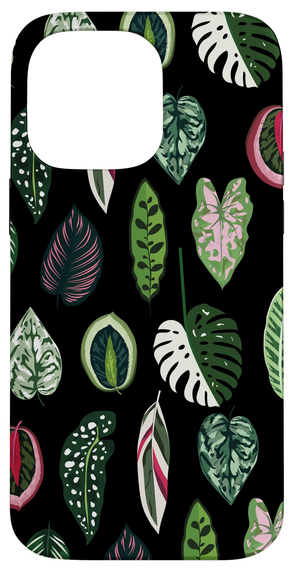 Calathea Varigatea Monstera Plant Leaf Black Case for iPhone 15 Pro Max
