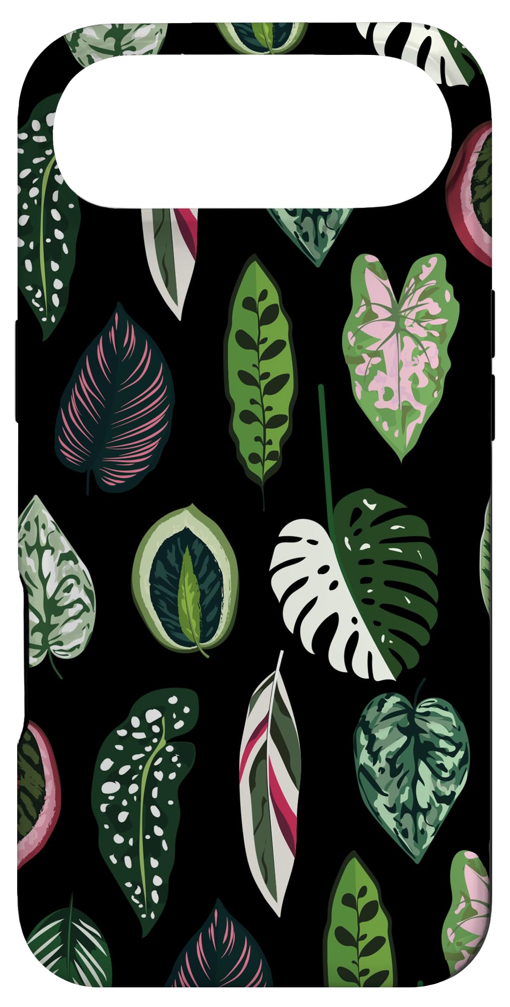 Calathea Varigatea Monstera Plant Leaf Black Case for iPhone 15 Pro Max