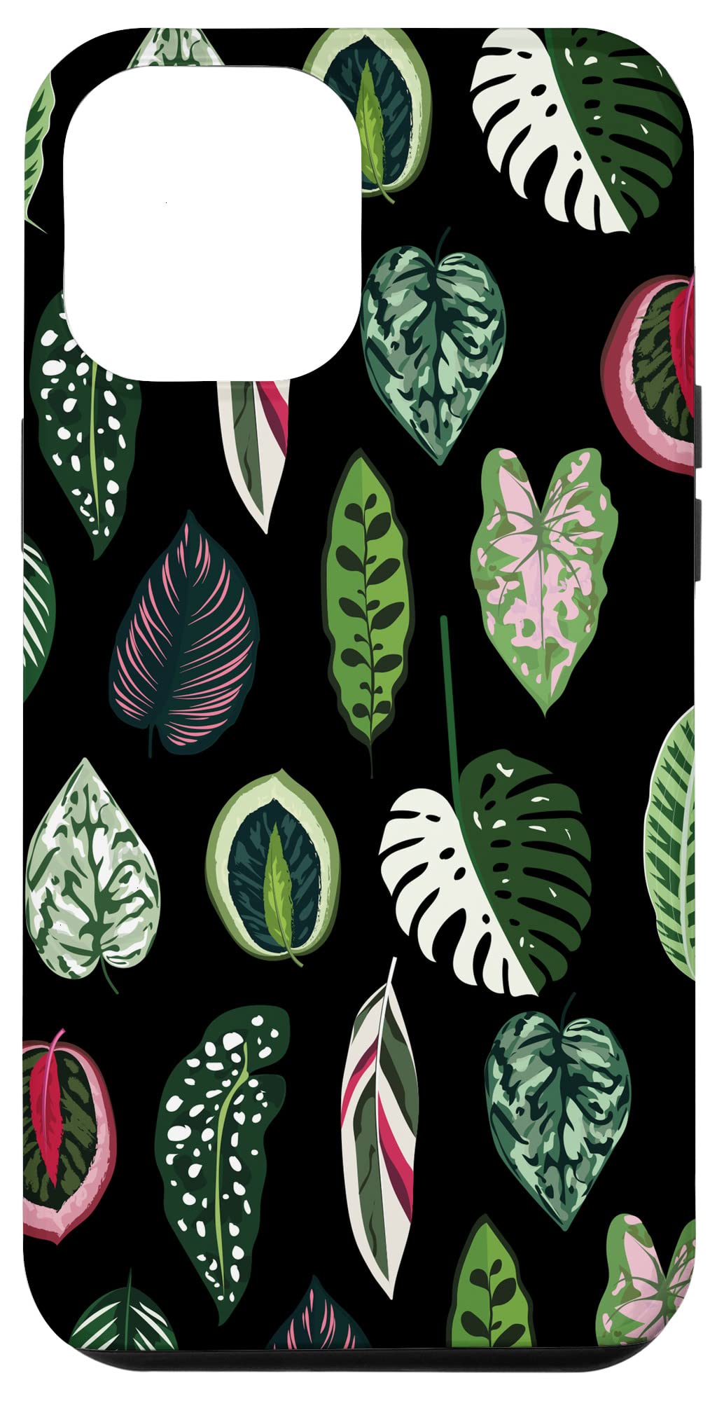 Calathea Varigatea Monstera Plant Leaf Black Case for iPhone 15 Pro Max