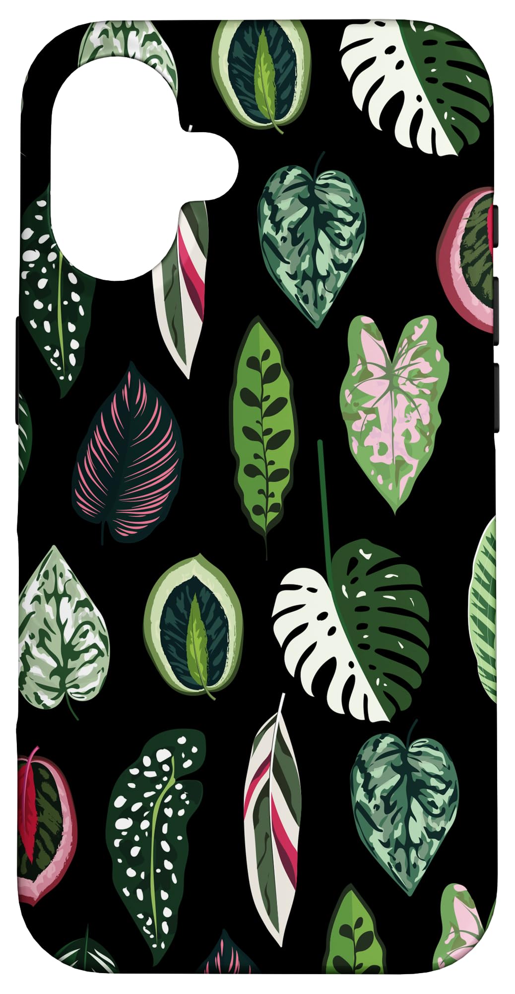 Calathea Varigatea Monstera Plant Leaf Black Case for iPhone 15 Pro Max