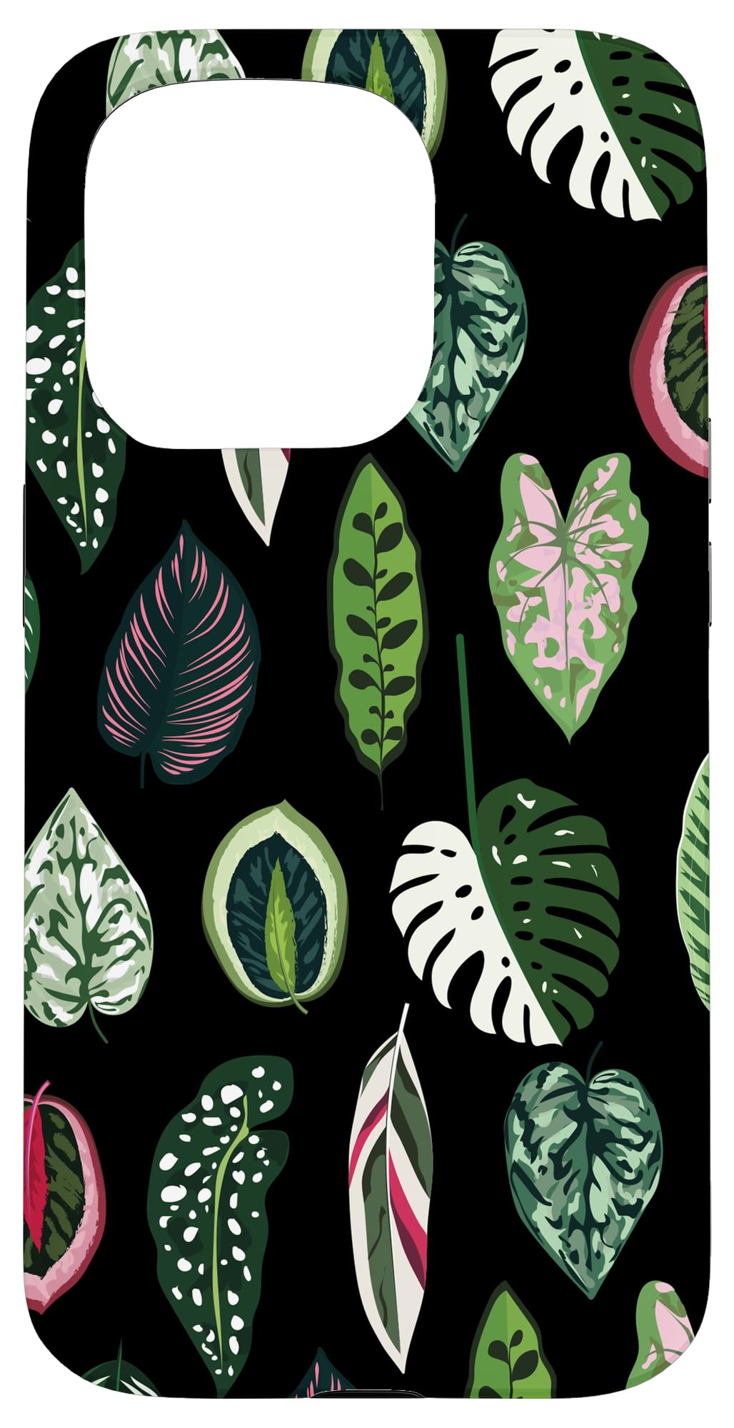 Calathea Varigatea Monstera Plant Leaf Black Case for iPhone 15 Pro Max