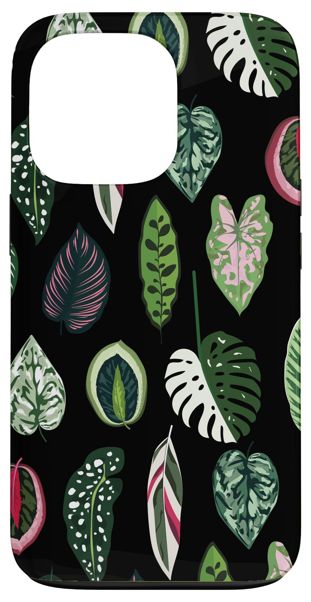 Calathea Varigatea Monstera Plant Leaf Black Case for iPhone 15 Pro Max