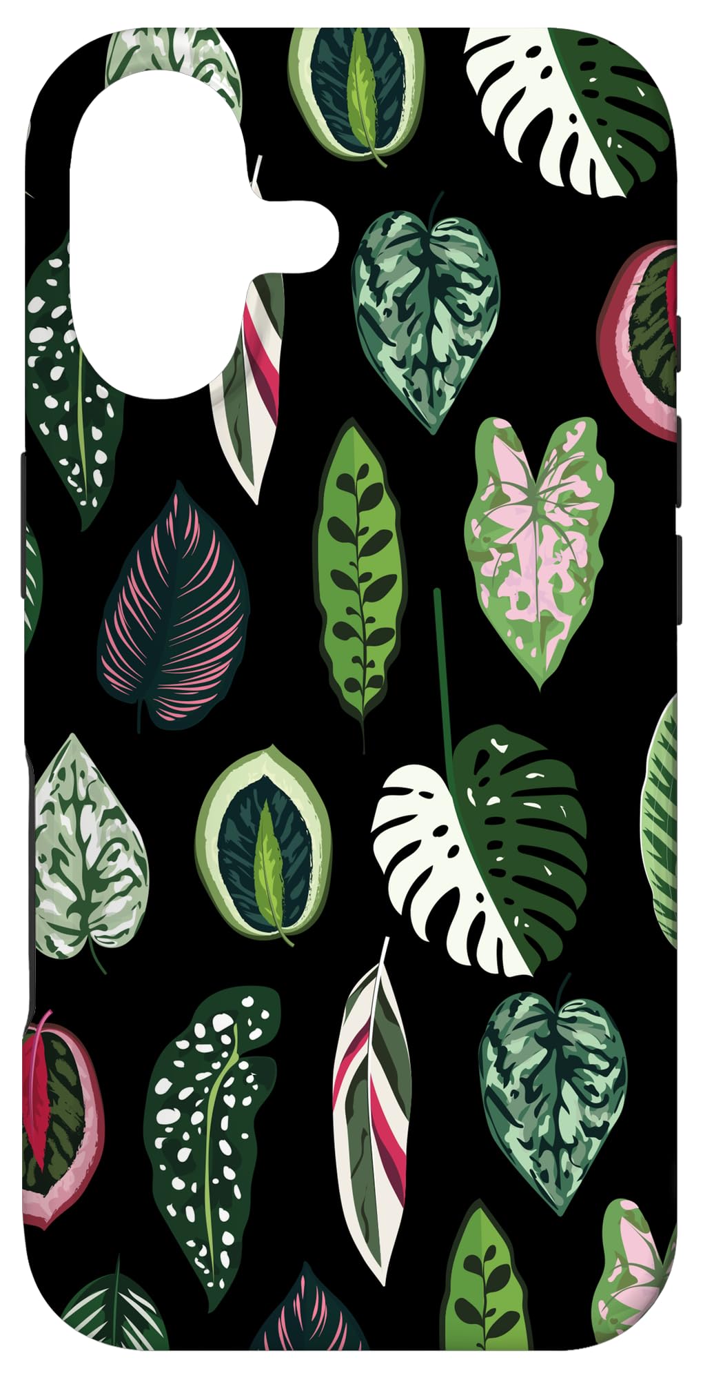 Calathea Varigatea Monstera Plant Leaf Black Case for iPhone 15 Pro Max