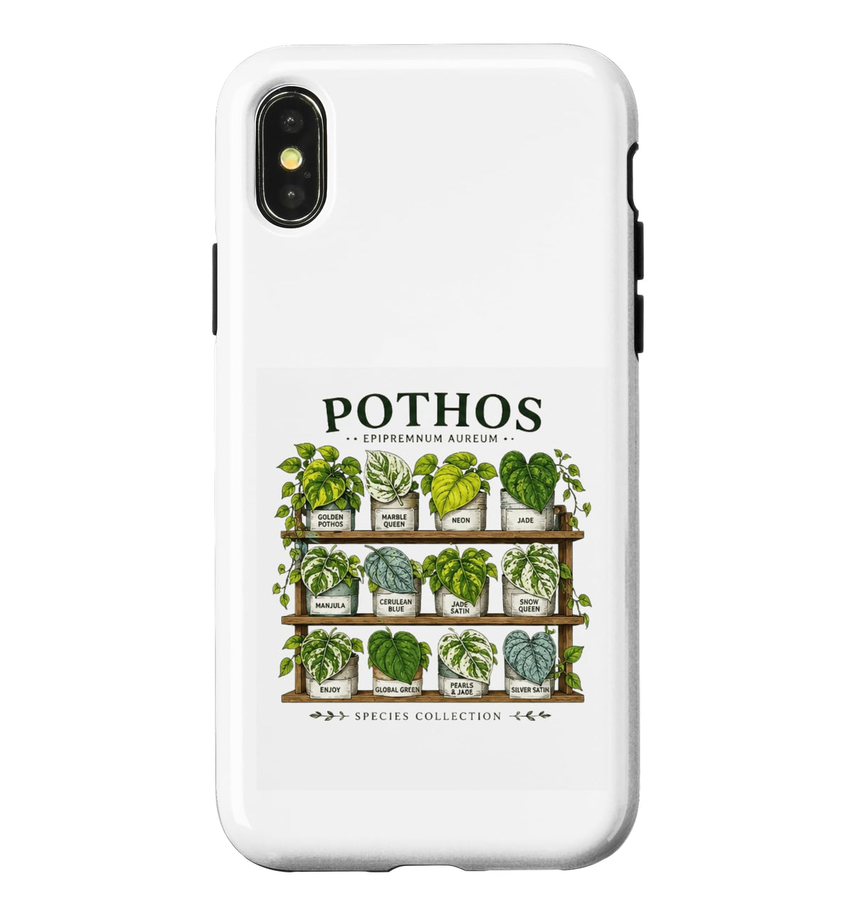 Pothos Plant Varieties Botanical Houseplant Design Case for iPhone 16